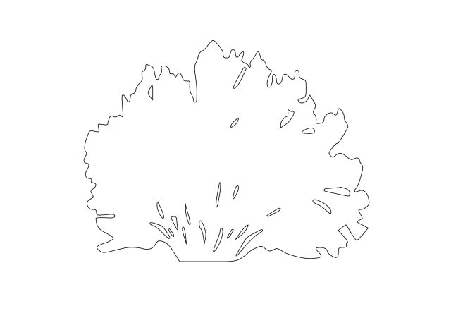 Free Plant Elevation CAD Block – DWG, DXF, PDF Format