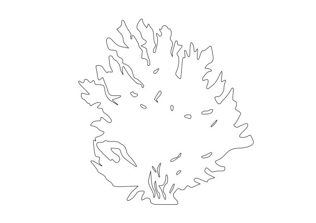 Free Plant Elevation CAD Block – DWG, DXF, PDF Format