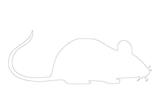 Free Mouse CAD Block – DWG, DXF, PDF Format