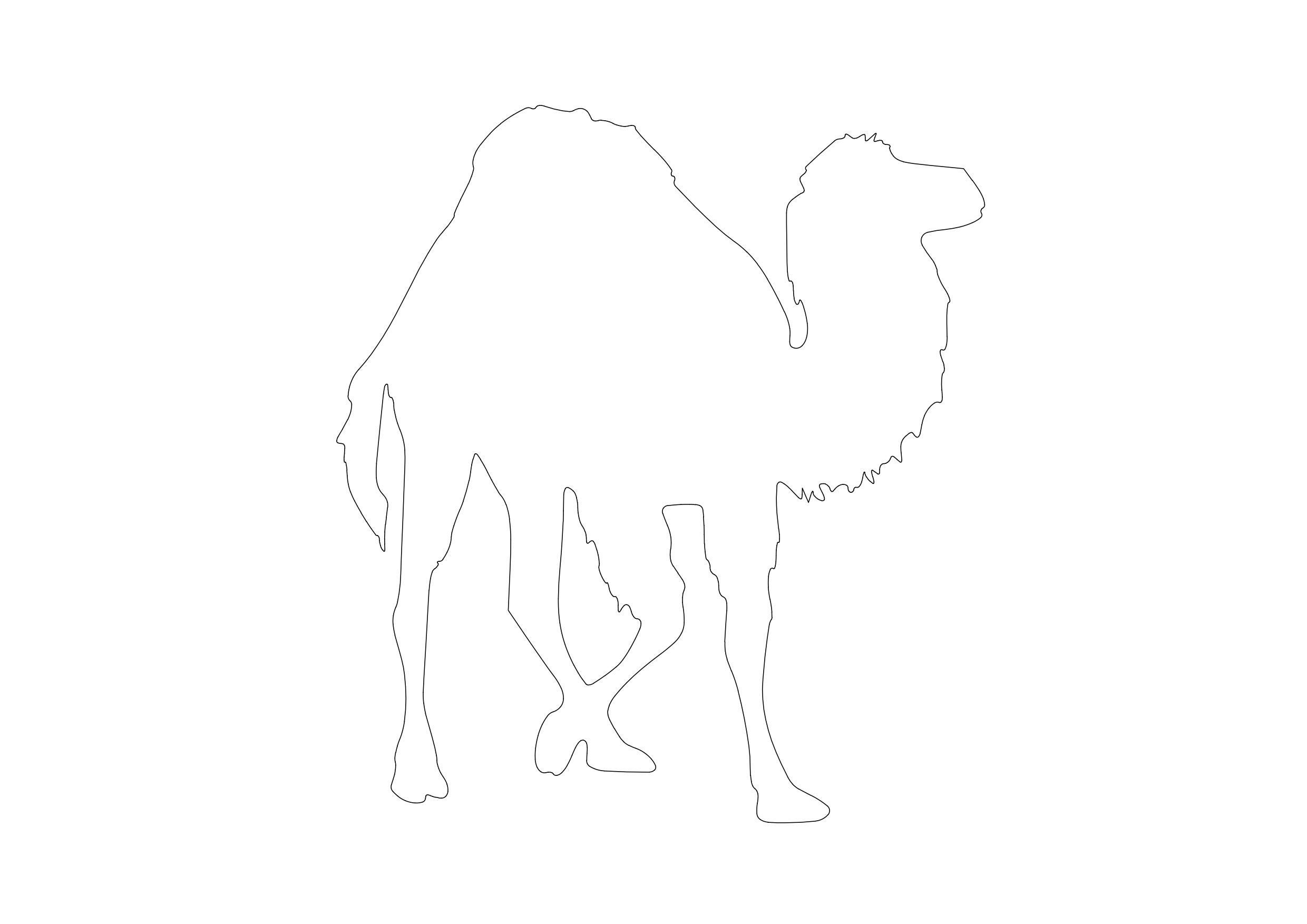 Free Camel CAD Block – DWG, DXF, PDF Format