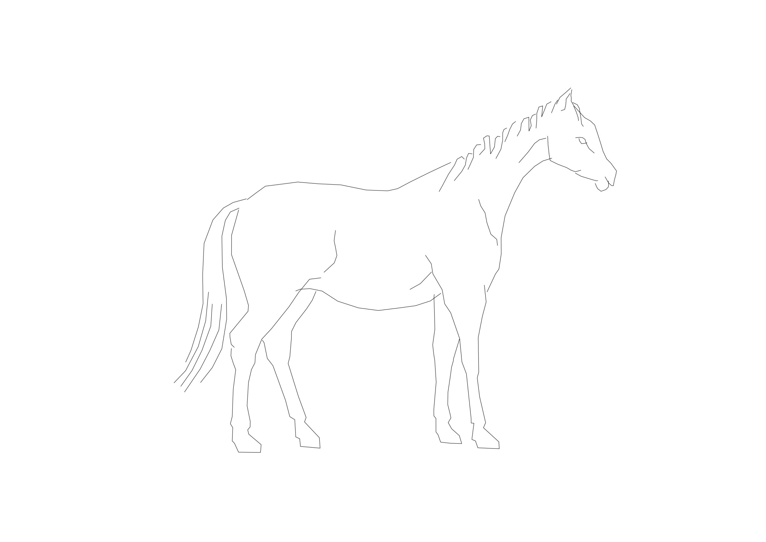 Free Standing Horse Silhouette CAD Block – Alert Posture