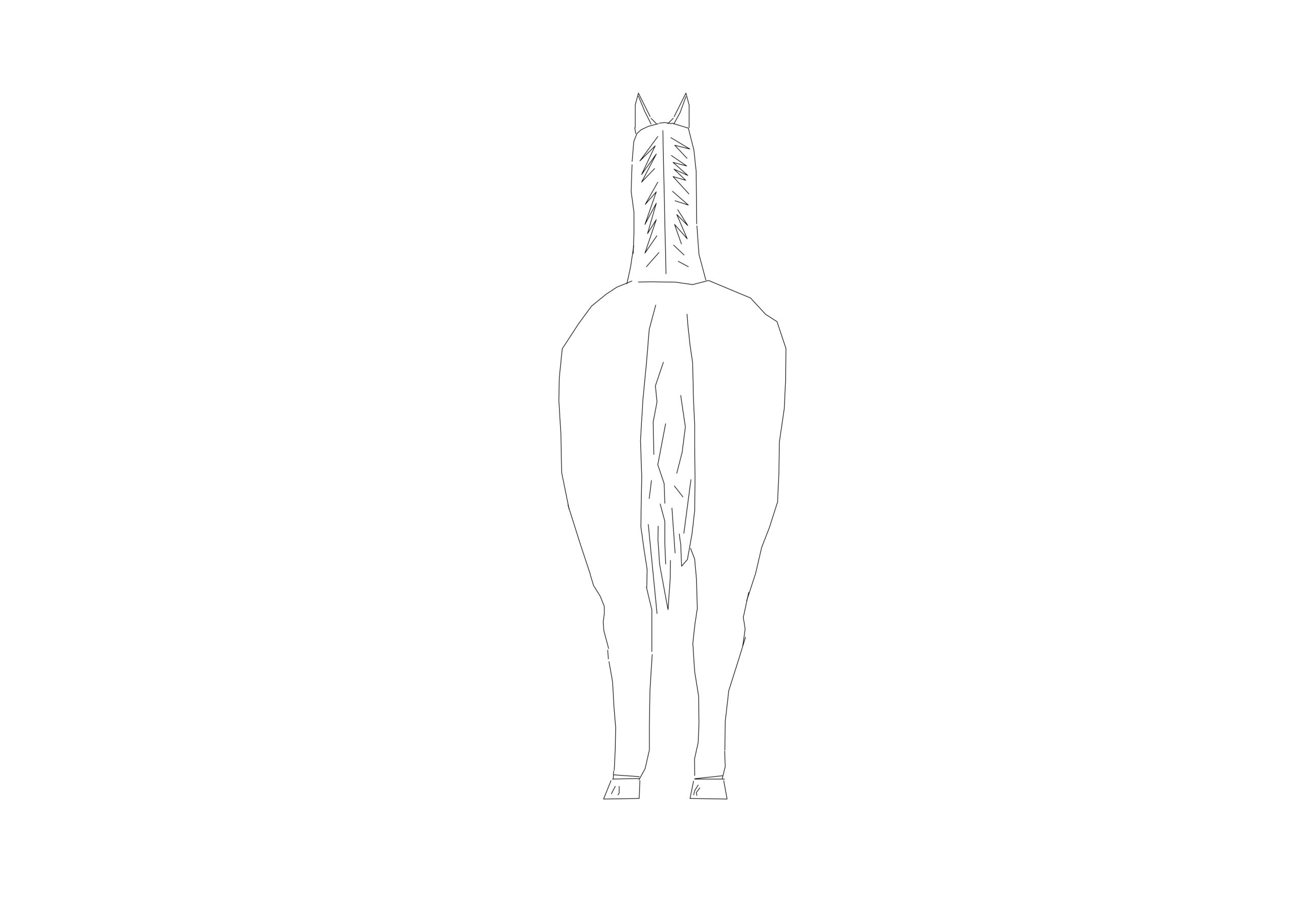 Free Horse CAD Block – Rear View Elevation
