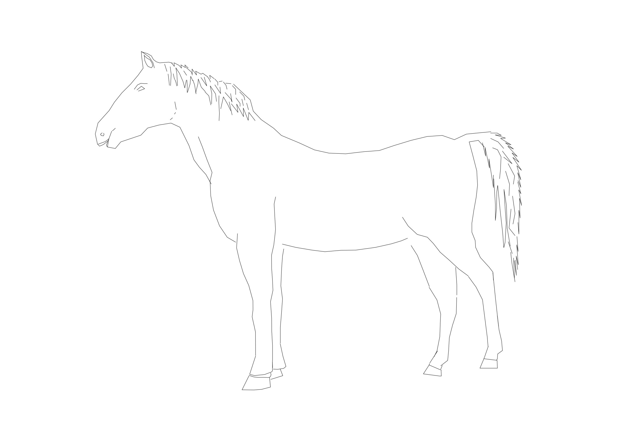 Free Standing Horse Silhouette CAD Block – Side View