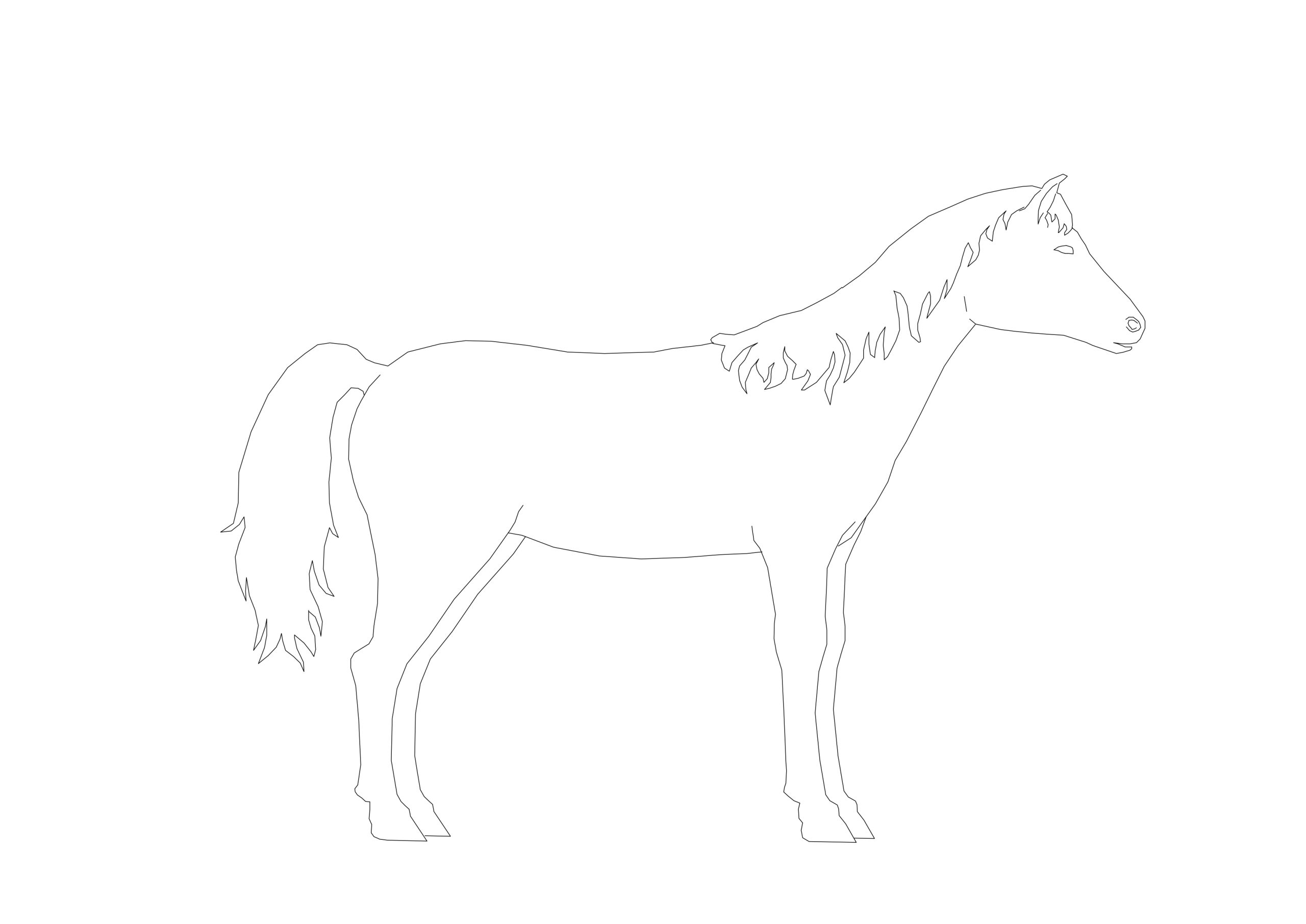 Free Trotting Horse CAD Block – Side Profile