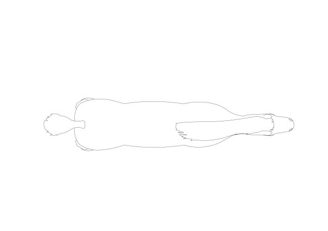 Free Horse CAD Block – Top View Plan