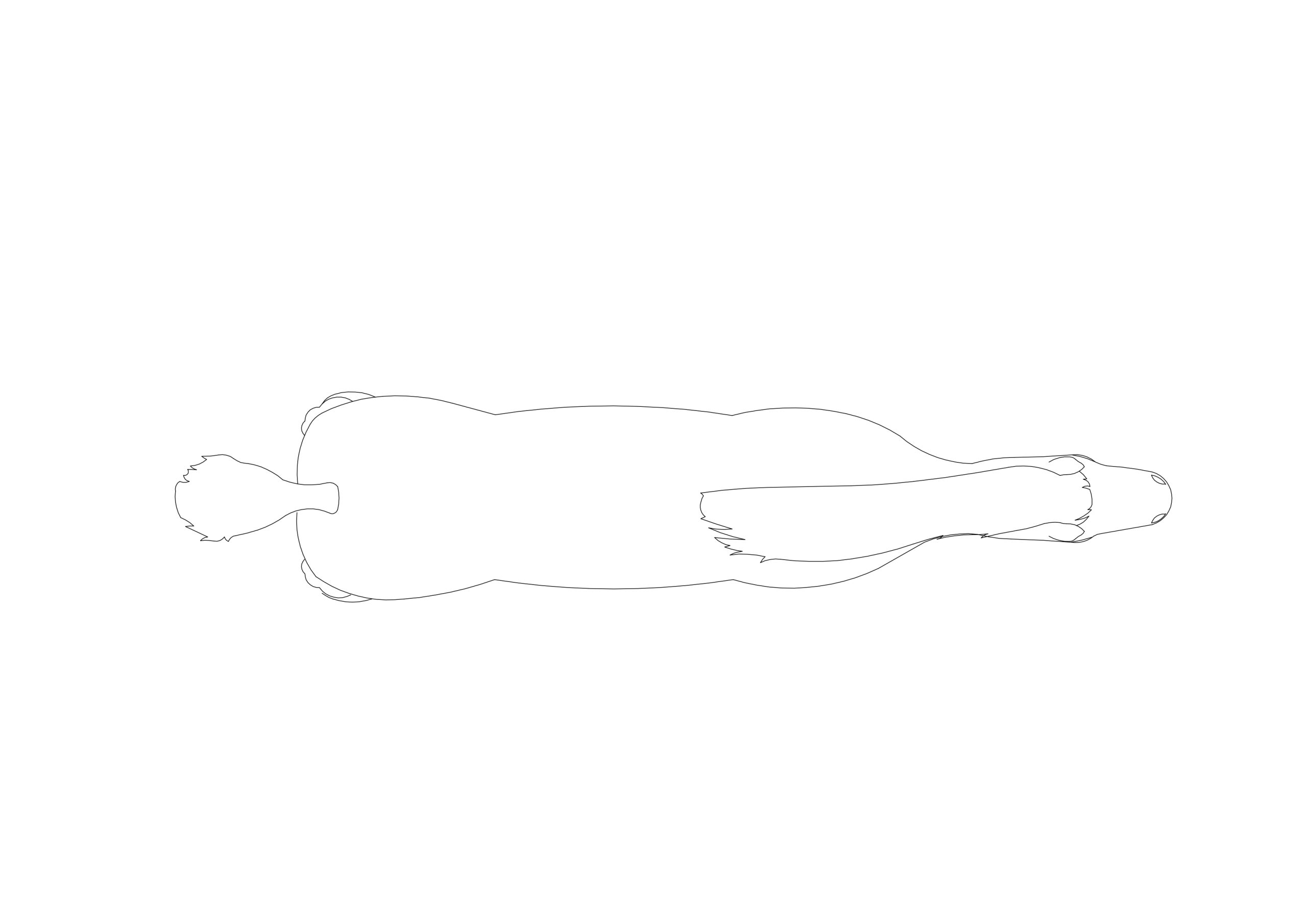 Free Horse CAD Block – Top View Plan