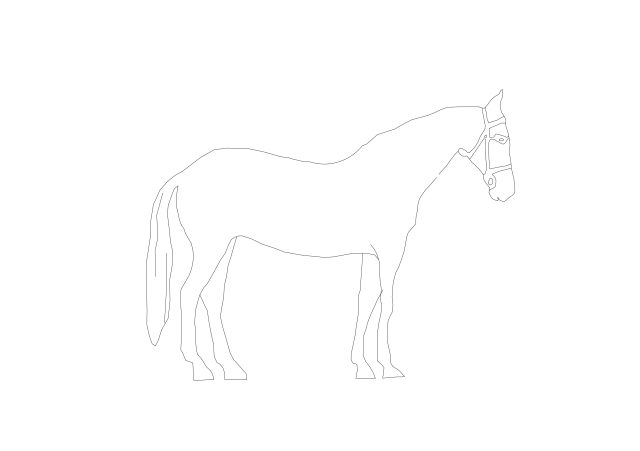 Free Bridled Horse Silhouette CAD Block – Elevation
