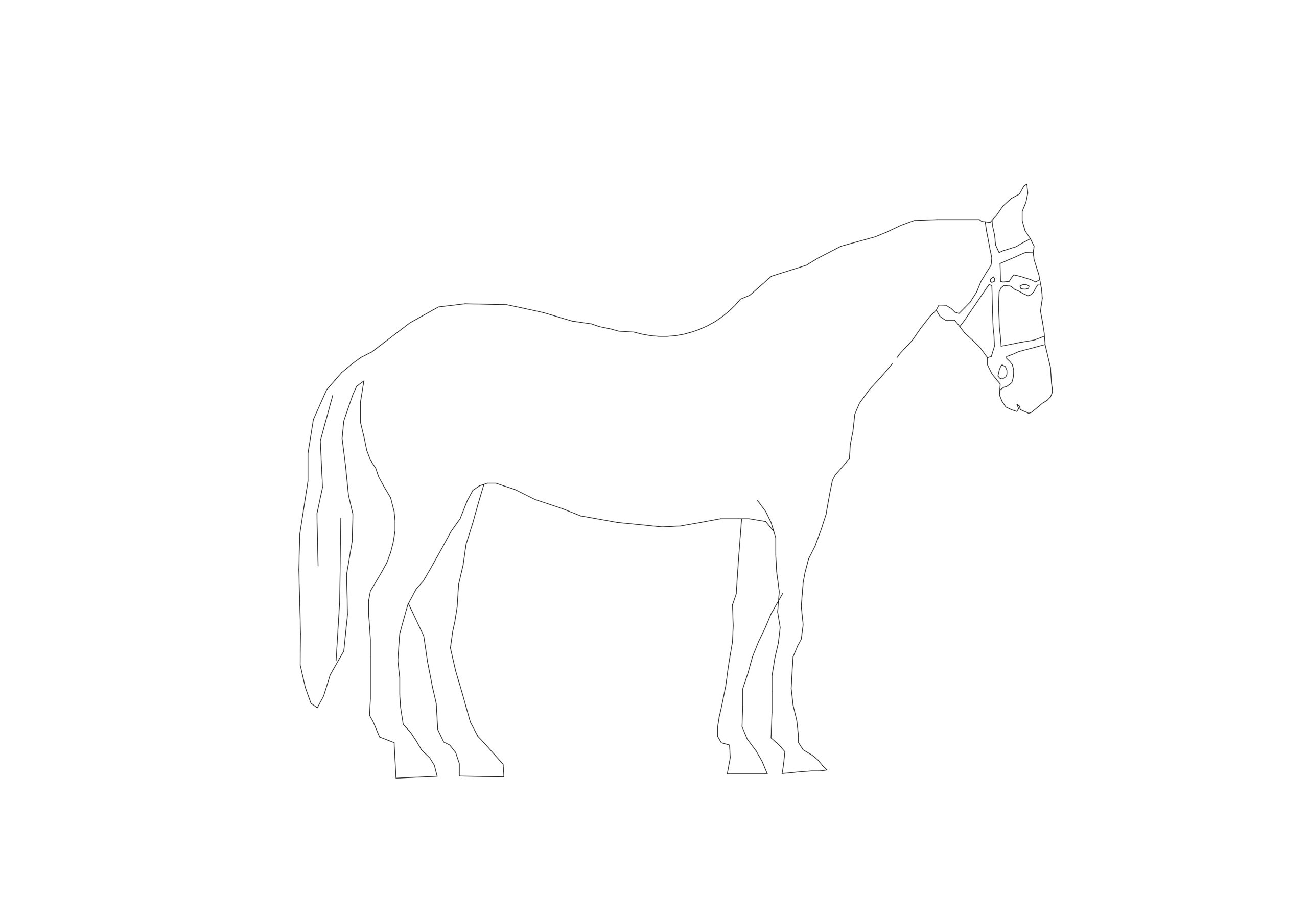 Free Bridled Horse Silhouette CAD Block – Elevation