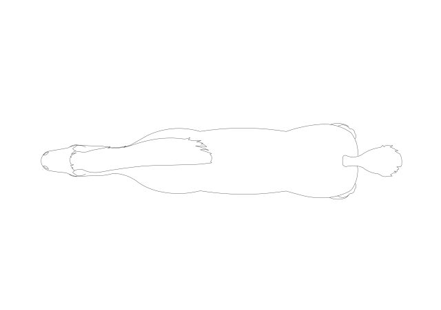 Free Resting Horse CAD Block – Top View