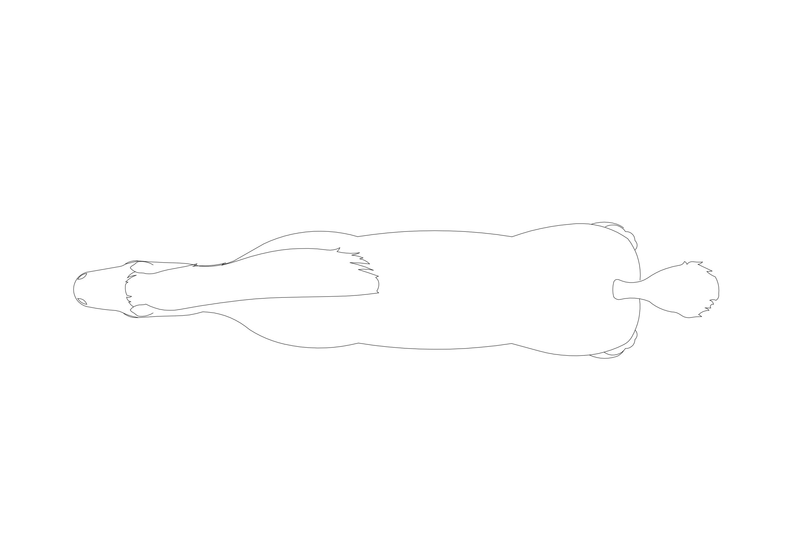 Free Resting Horse CAD Block – Top View