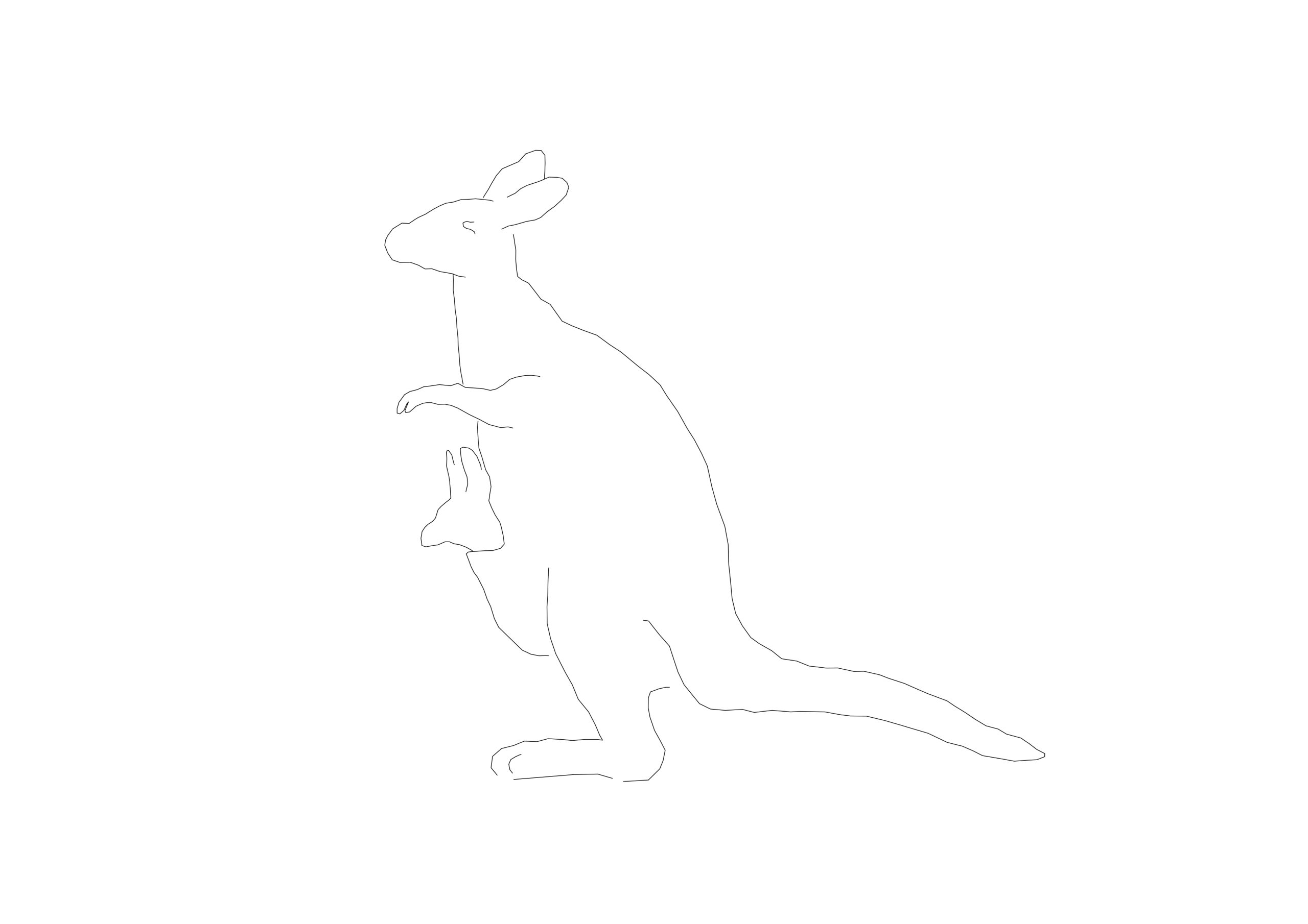 Free Kangaroo with Joey Silhouette CAD Block