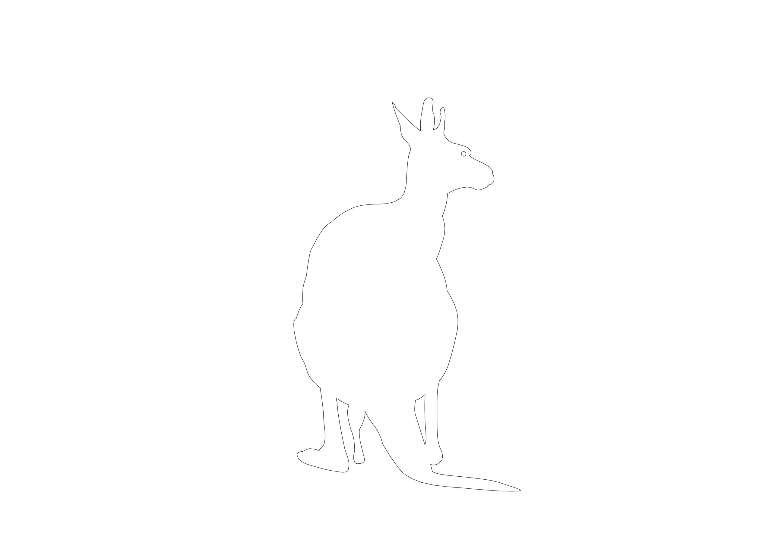 Free Standing Kangaroo Silhouette CAD Block