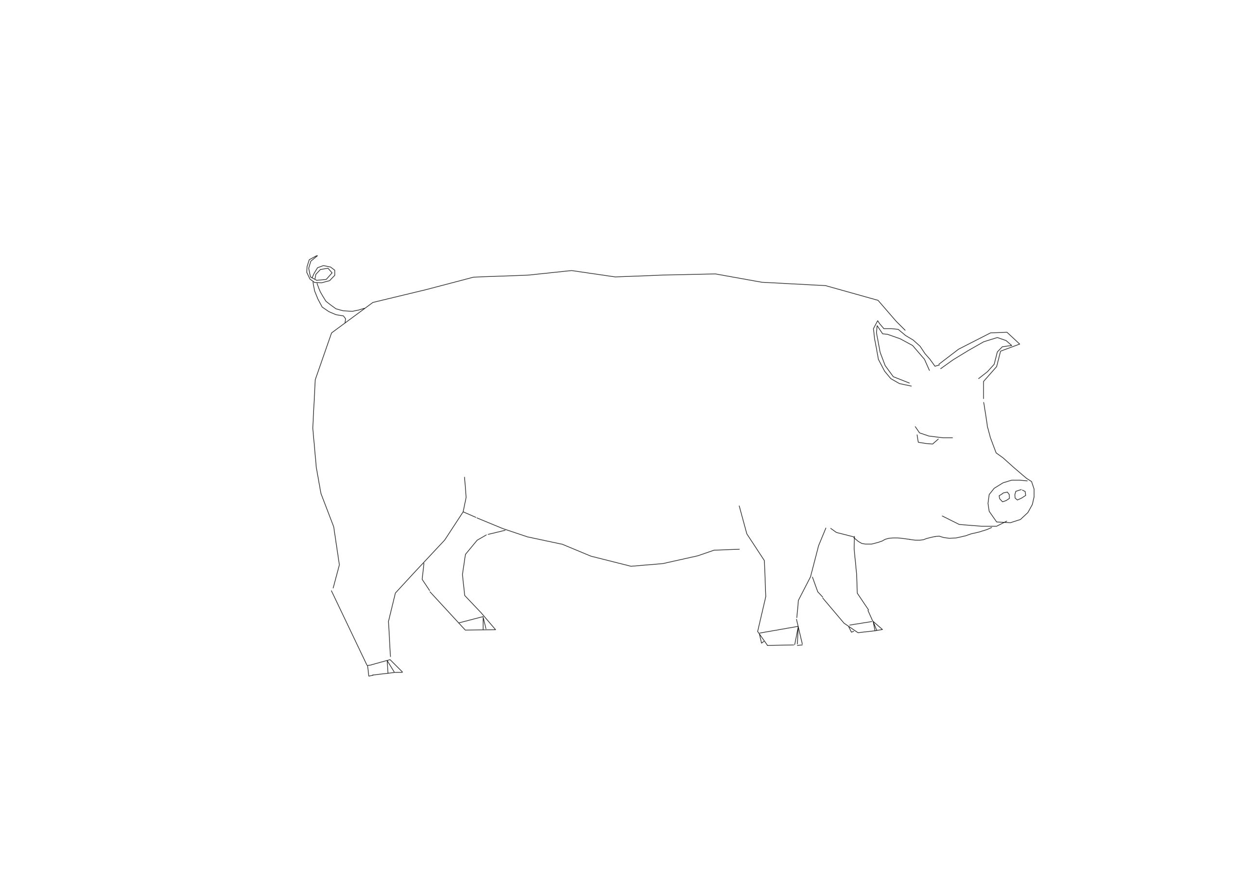 Free Standing Pig CAD Block – Side Elevation