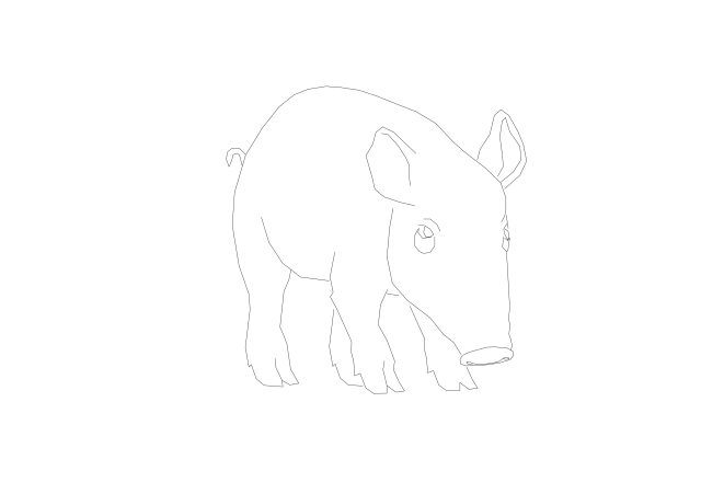 Free Pig Front View CAD Block – Perspective