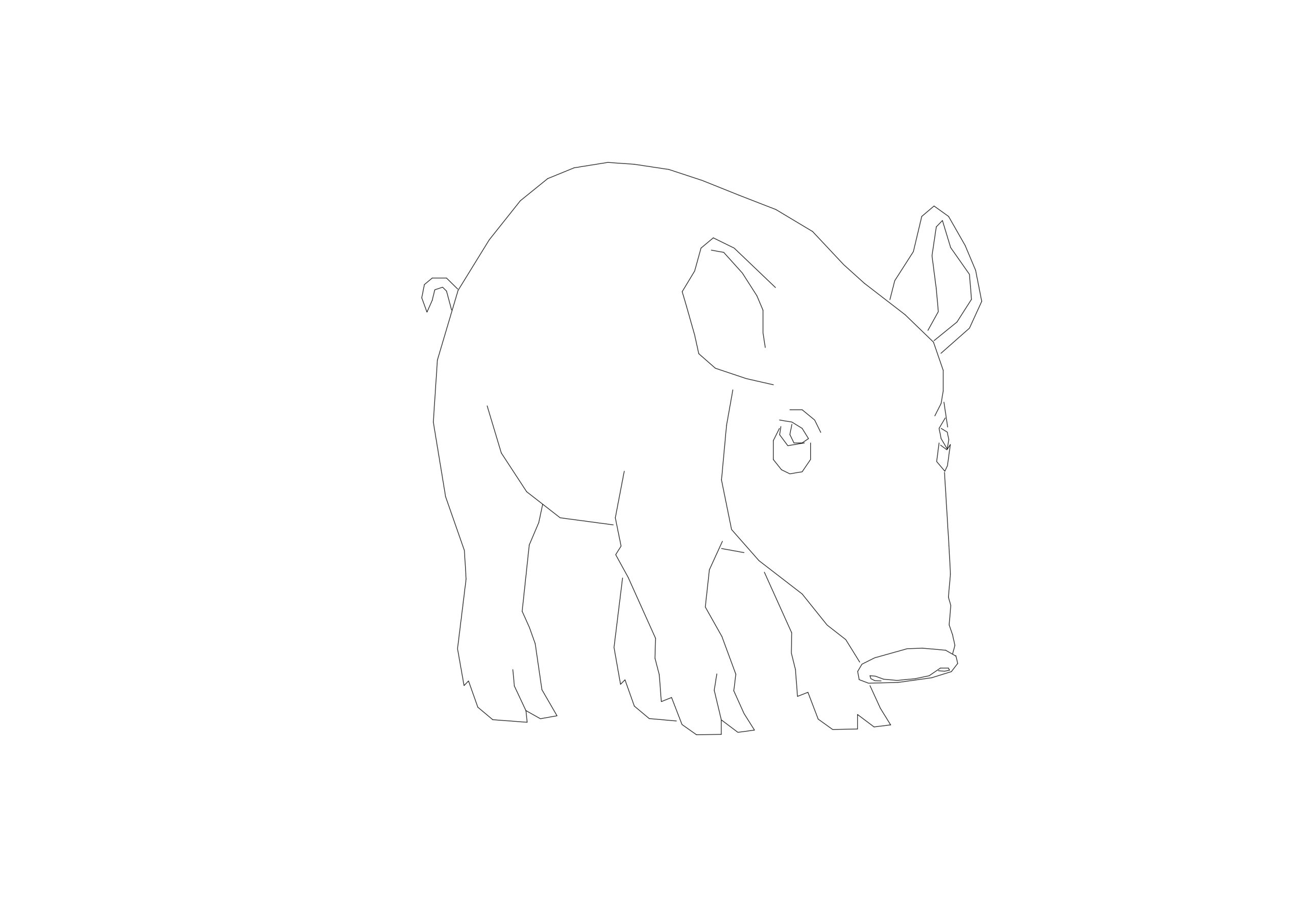 Free Pig Front View CAD Block – Perspective
