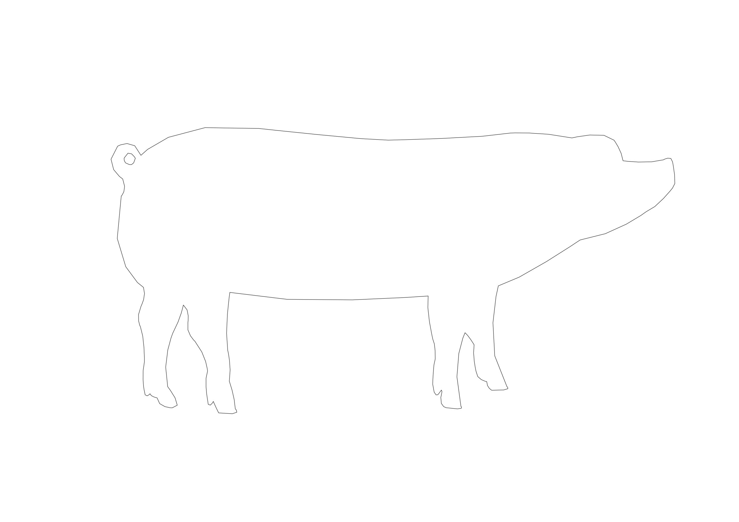 Free Linear Pig CAD Block – Side Elevation