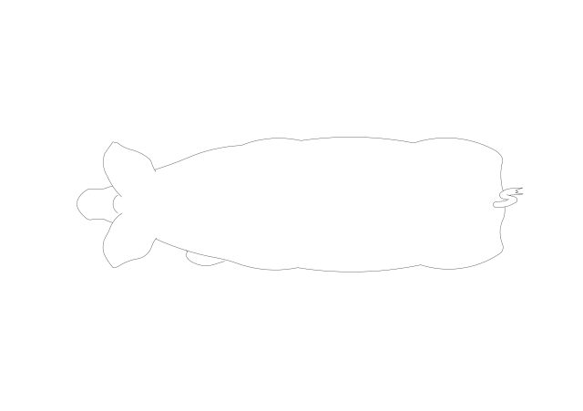 Free Symmetrical Pig CAD Block – Top View Plan