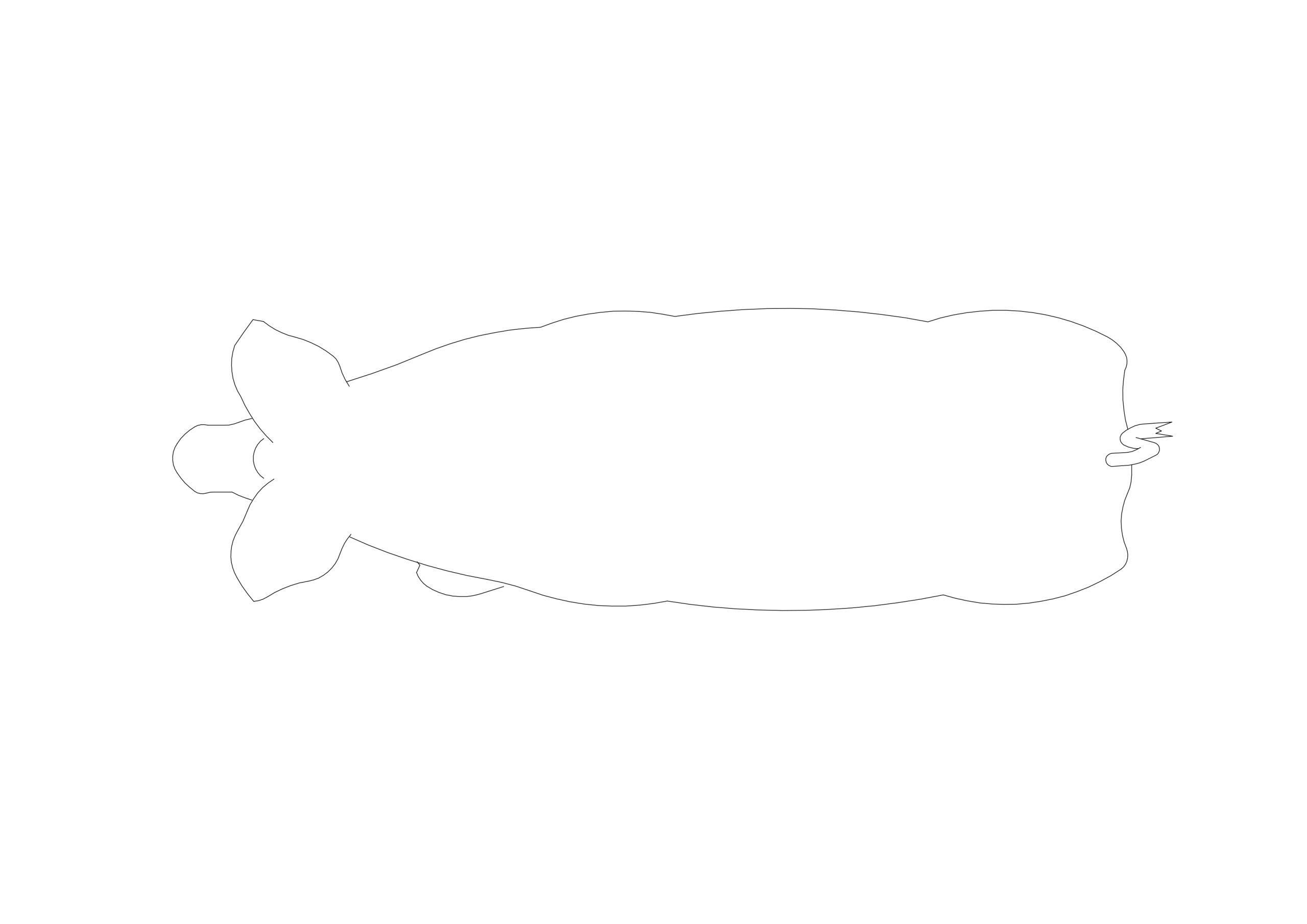 Free Symmetrical Pig CAD Block – Top View Plan