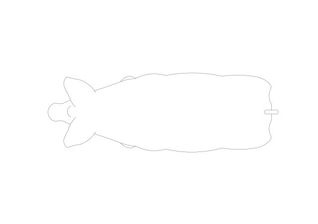 Free Abstracted Pig CAD Block – Plan View