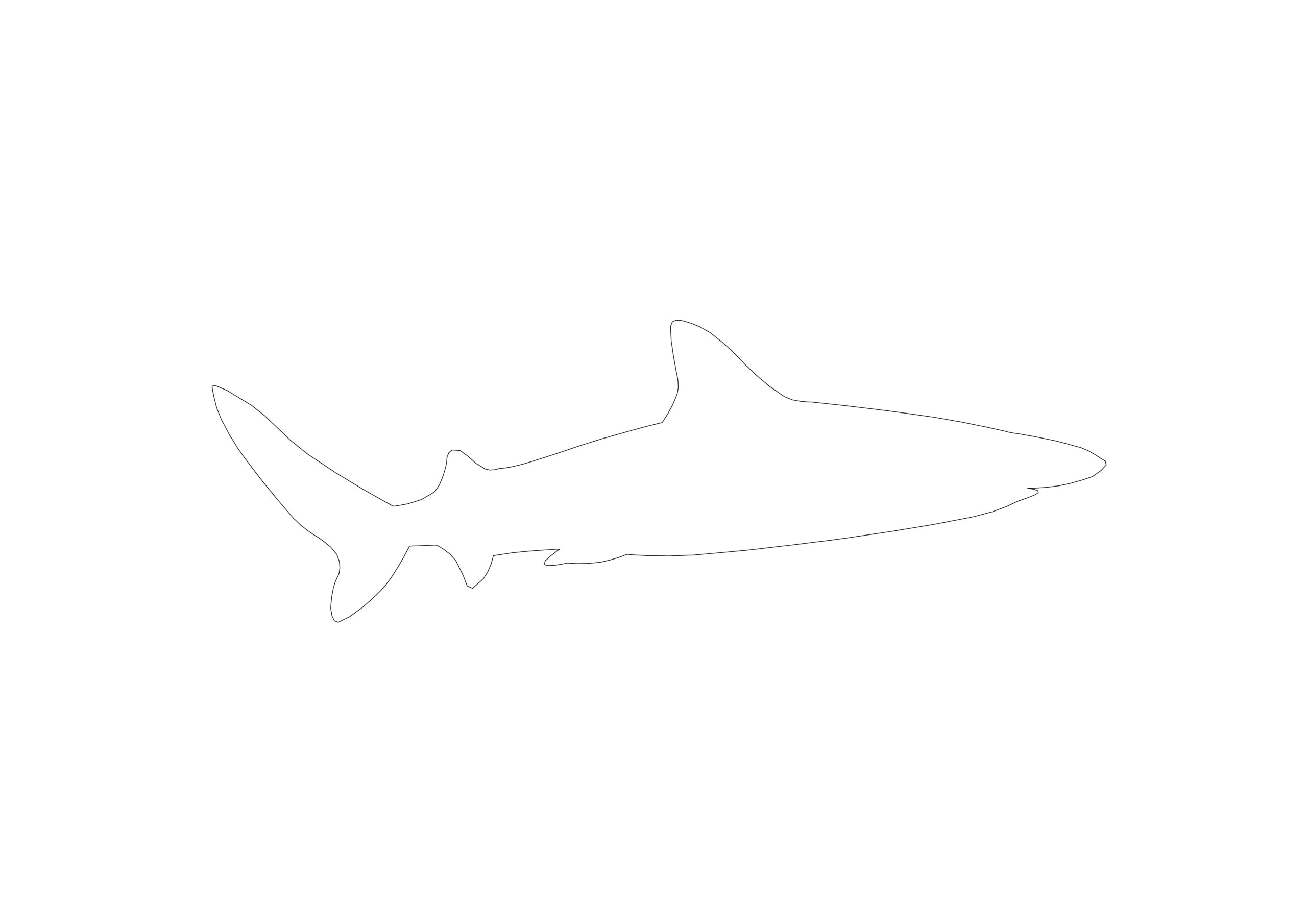 Free Sleek Shark Profile Silhouette CAD Block