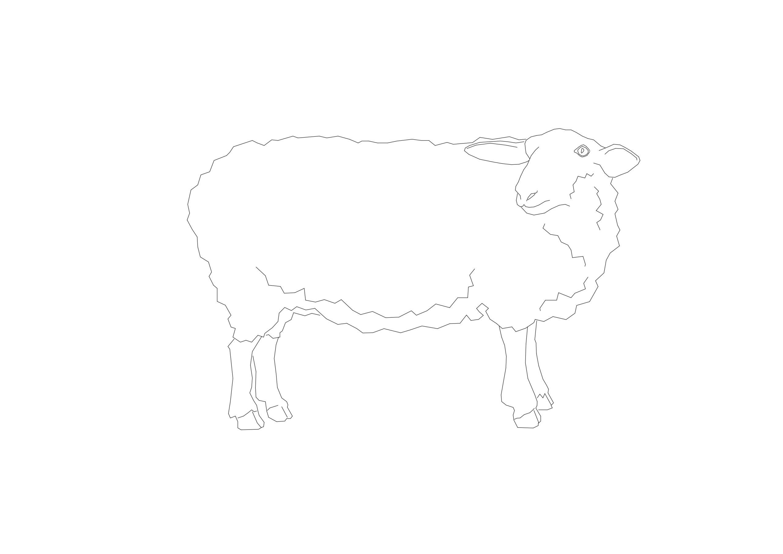 Free Sheep CAD Block – Side Profile Elevation