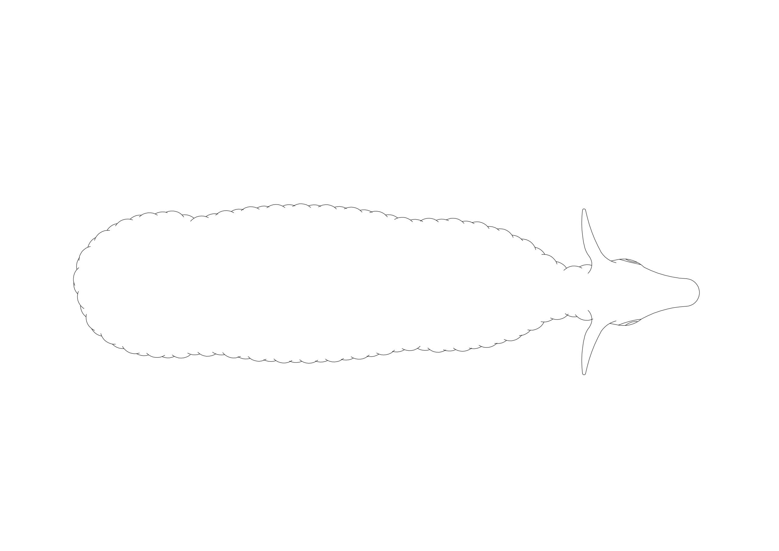 Free Sheep CAD Block – Top View Silhouette
