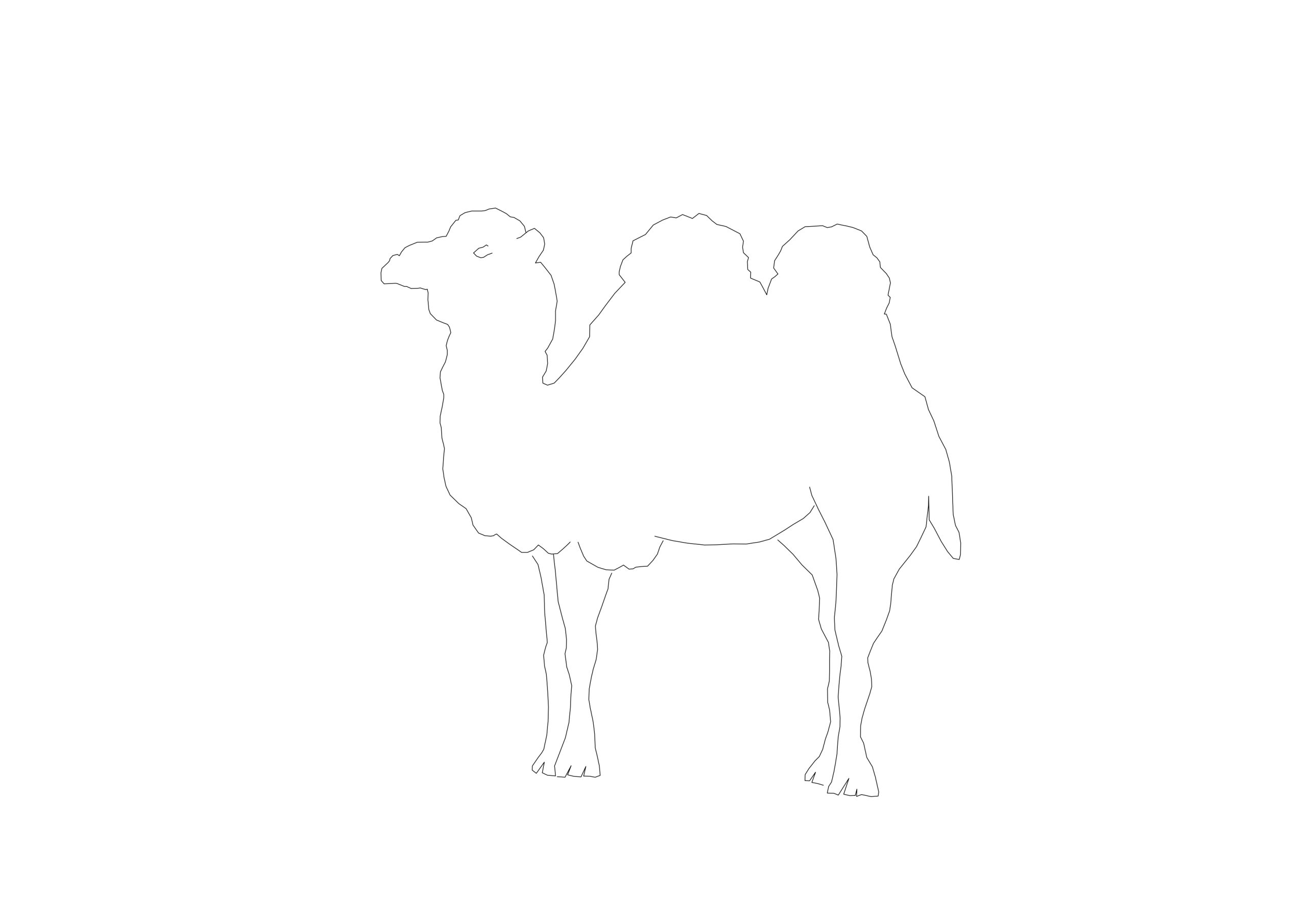 Free Camel Silhouette CAD Block & Vector