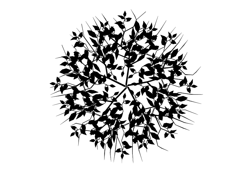 Free Plant Top View CAD Block – DWG, DXF, PDF Format