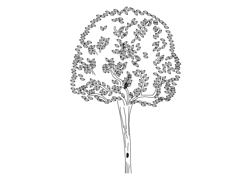 Free Tree Elevation CAD Block – DWG, DXF, PDF Format