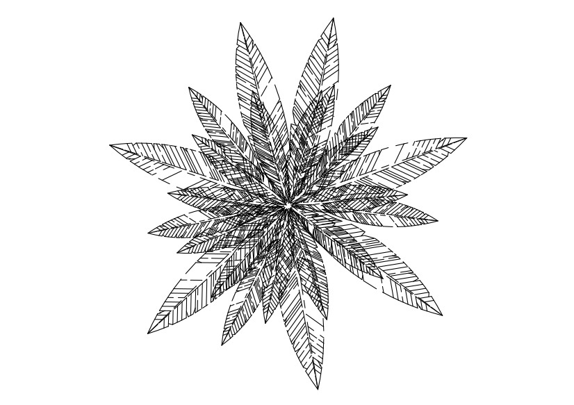 Free Palm Tree Top View CAD Block – DWG, DXF, PDF Format