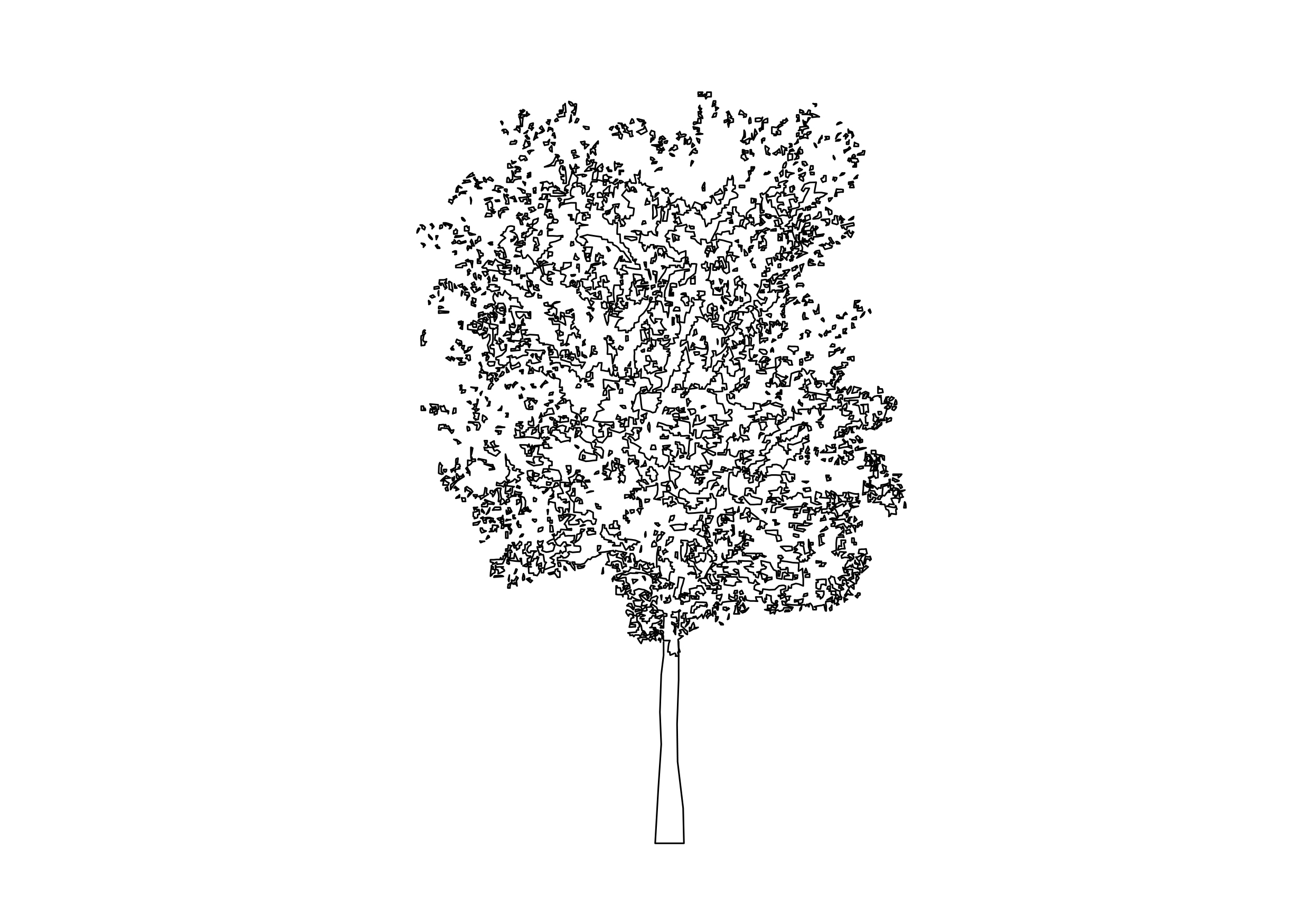 Free Tree Elevation CAD Block – DWG, DXF, PDF Format