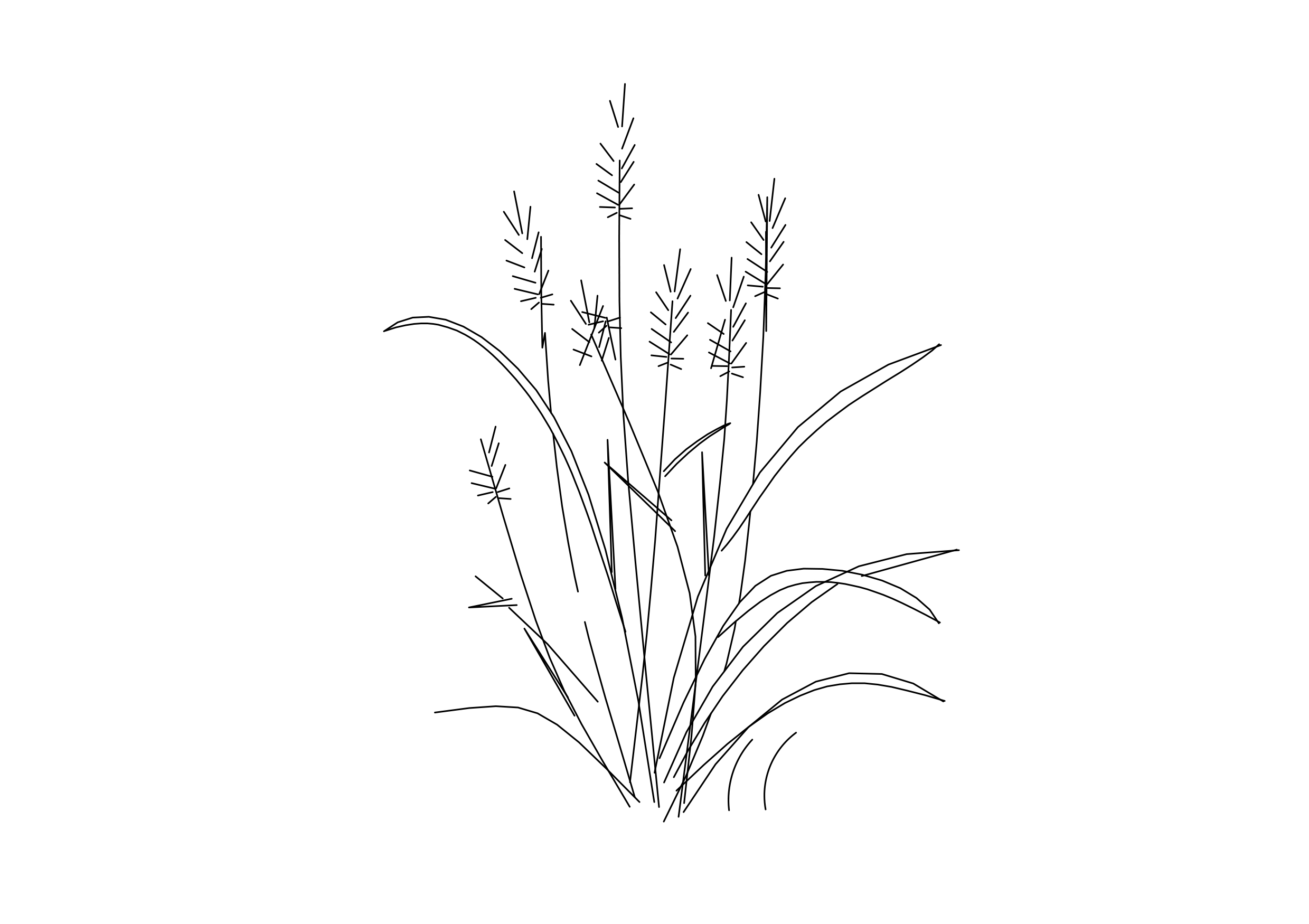 Free Plant Elevation CAD Block – DWG, DXF, PDF Format