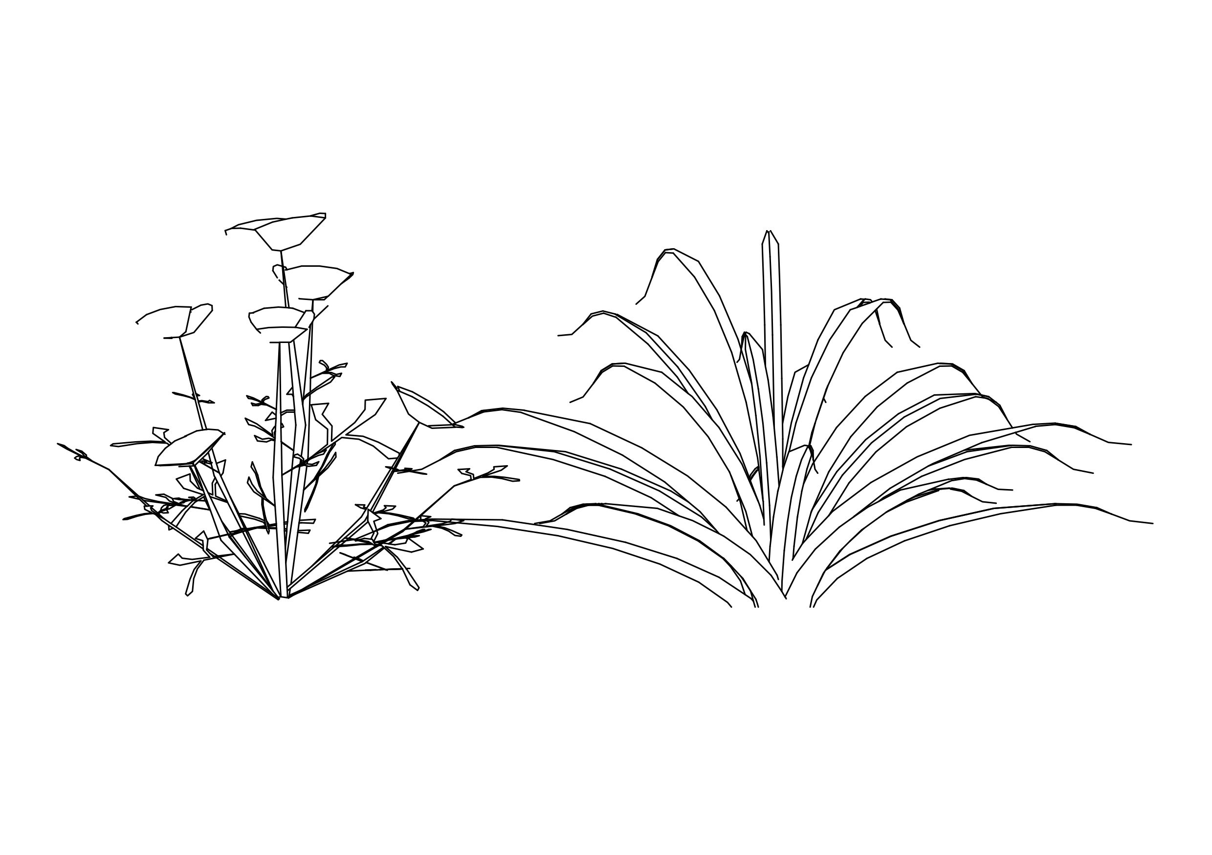 Free Plant Elevation CAD Block – DWG, DXF, PDF Format