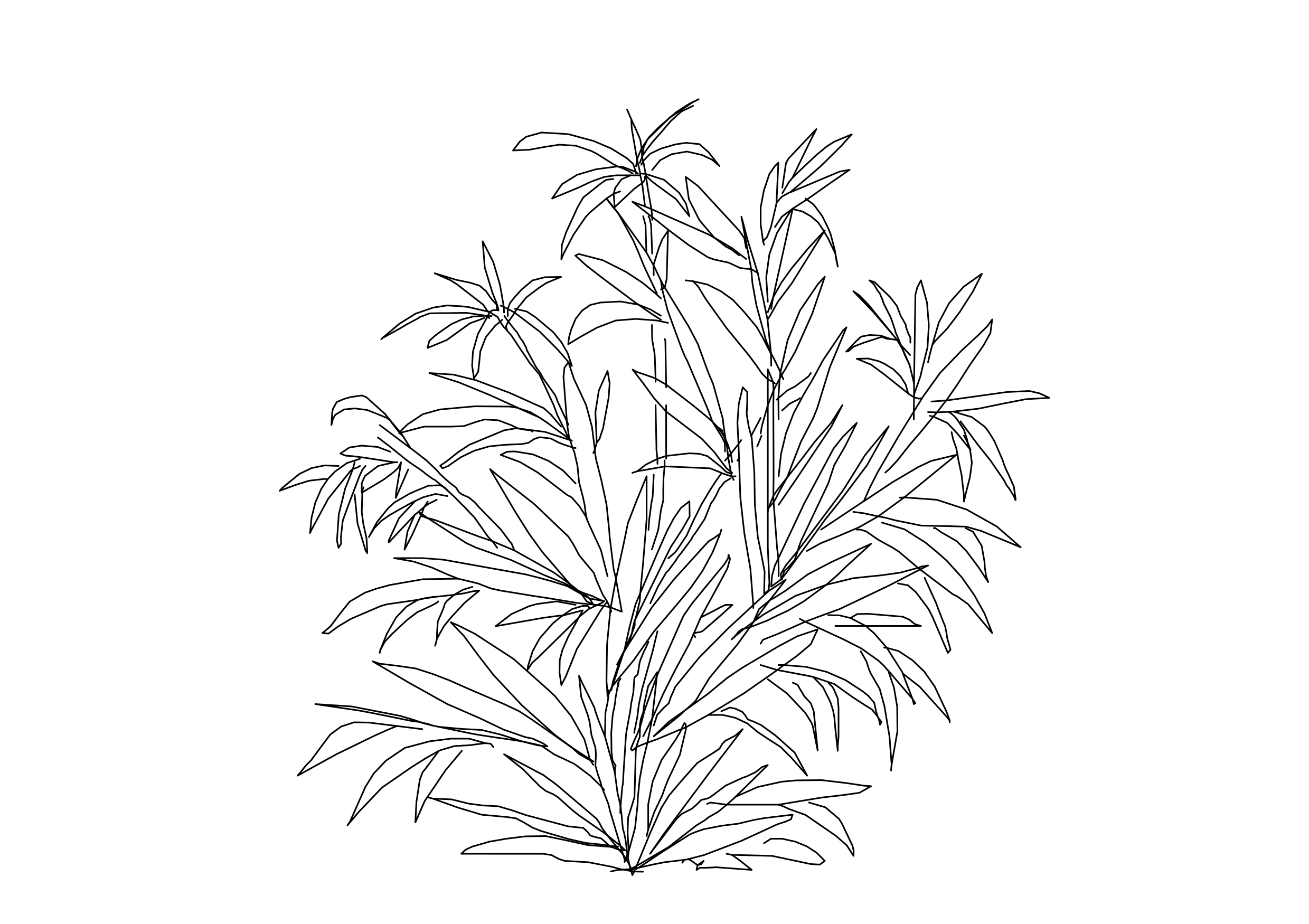 Free Plant Elevation CAD Block – DWG, DXF, PDF Format