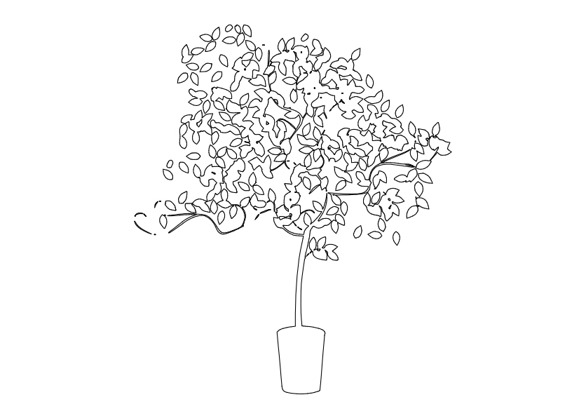 Free Plant Elevation CAD Block – DWG, DXF, PDF Format