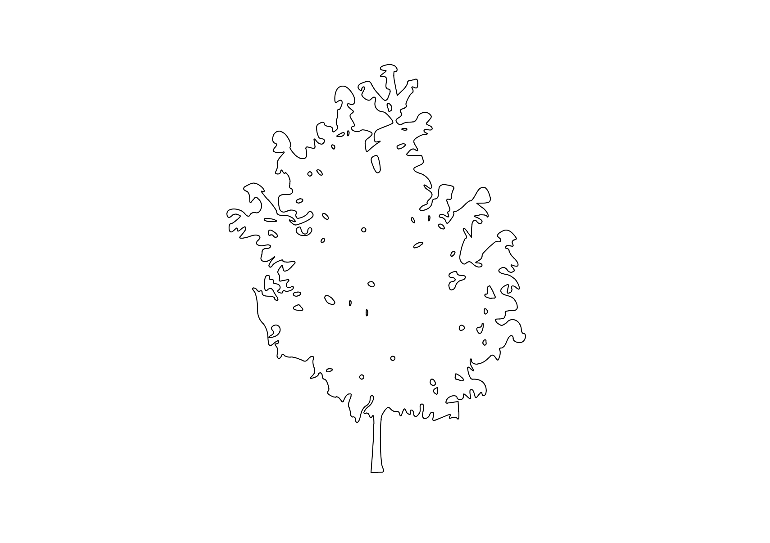 Free Tree Elevation CAD Block – DWG, DXF, PDF Format