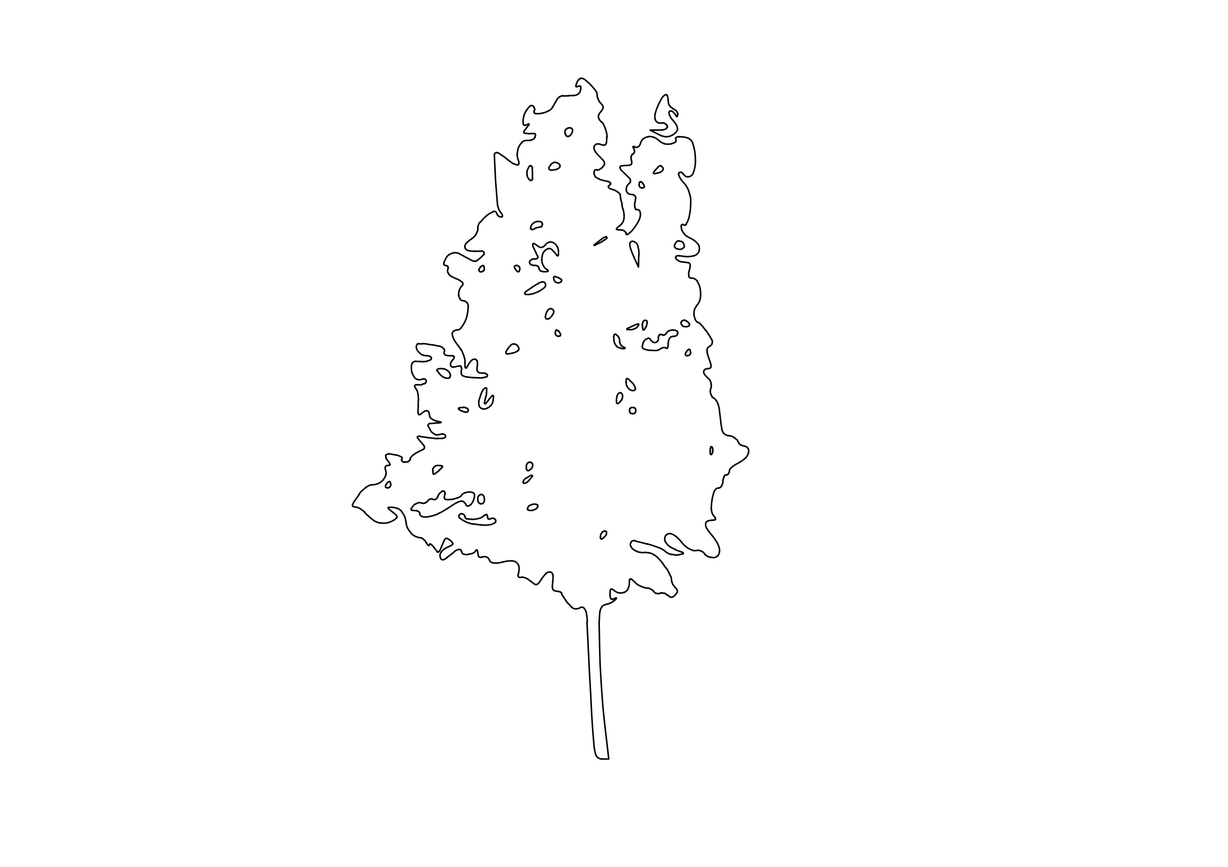 Free Tree Elevation CAD Block – DWG, DXF, PDF Format