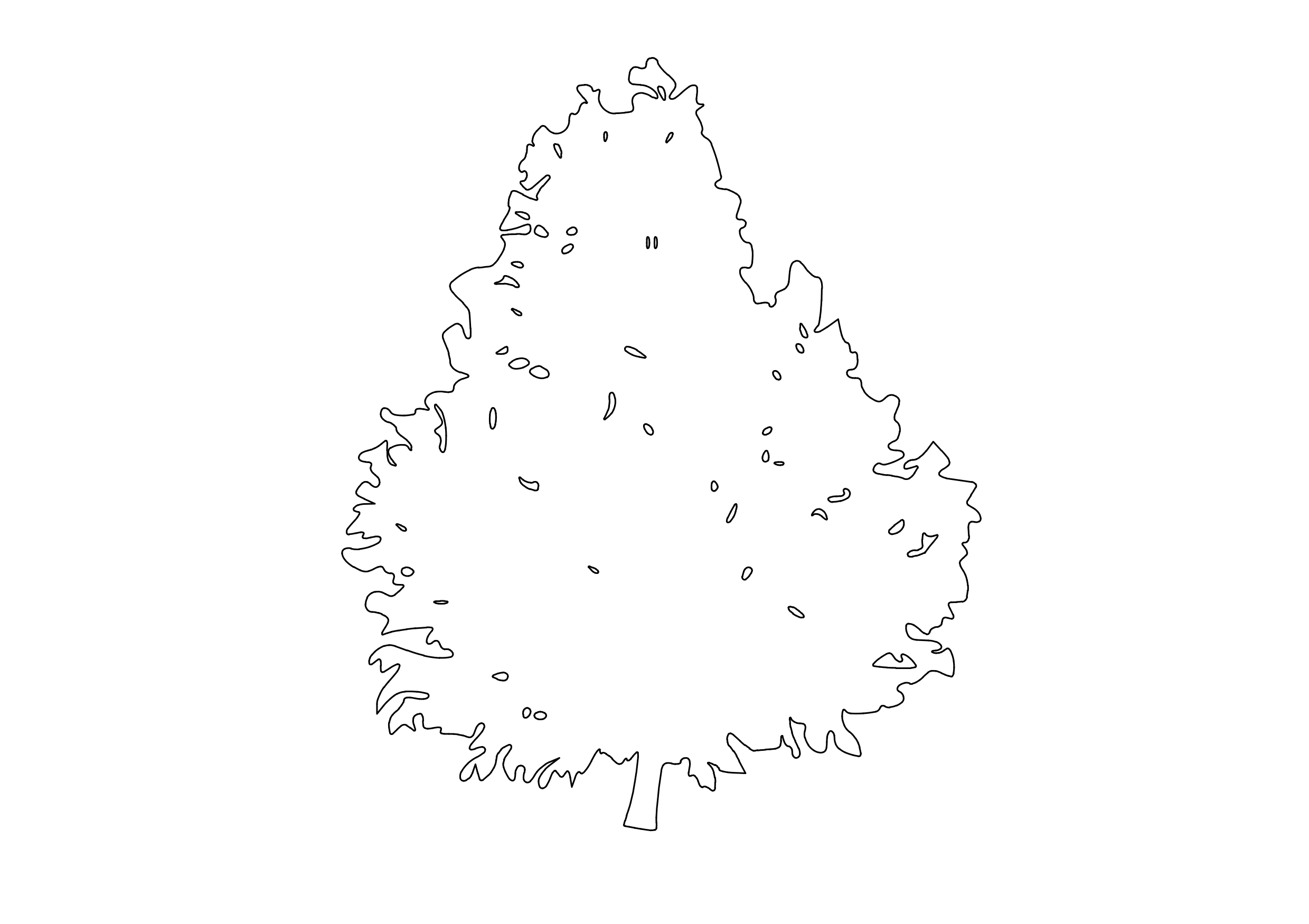 Free Tree Elevation CAD Block – DWG, DXF, PDF Format