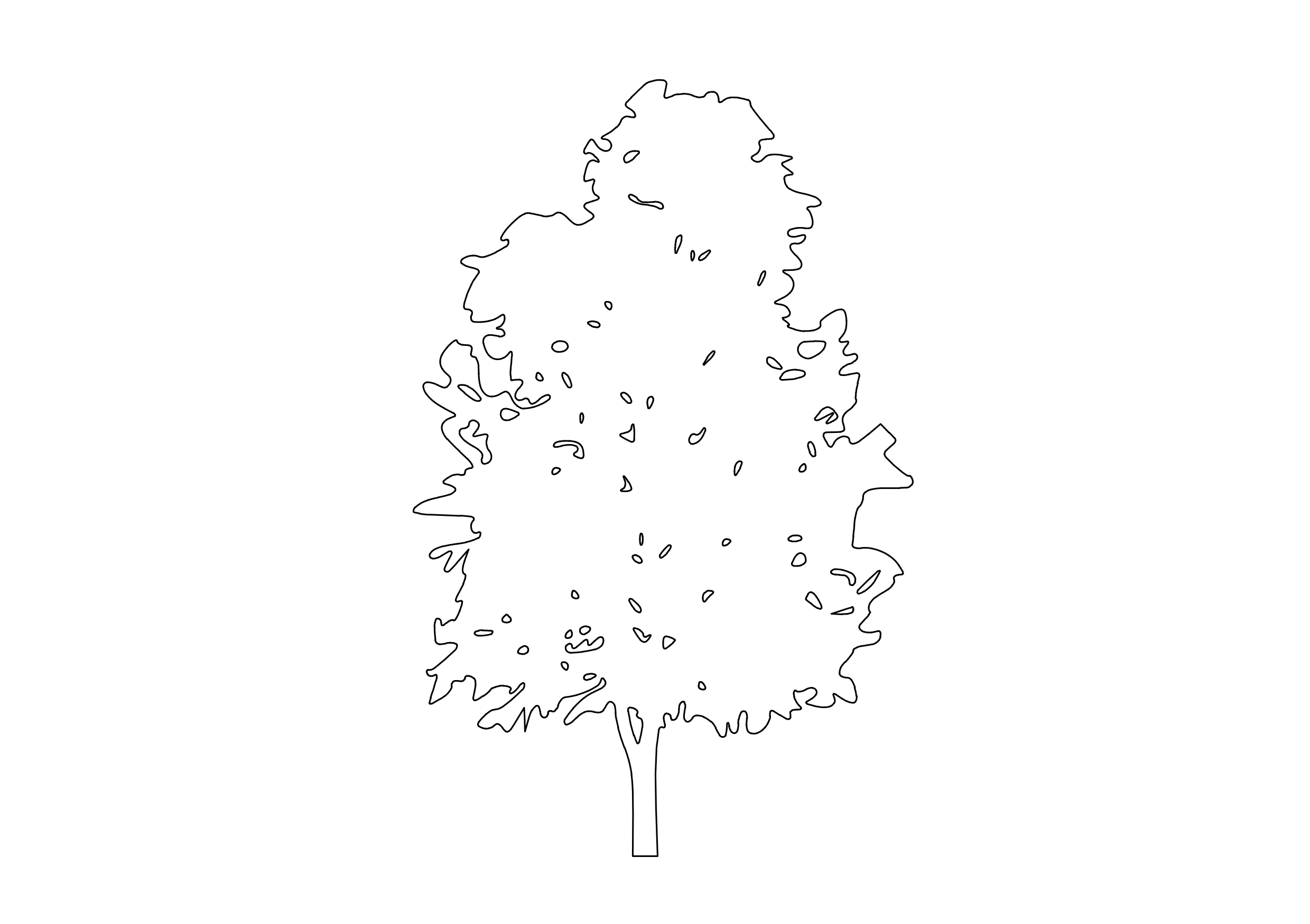Free Tree Elevation CAD Block – DWG, DXF, PDF Format