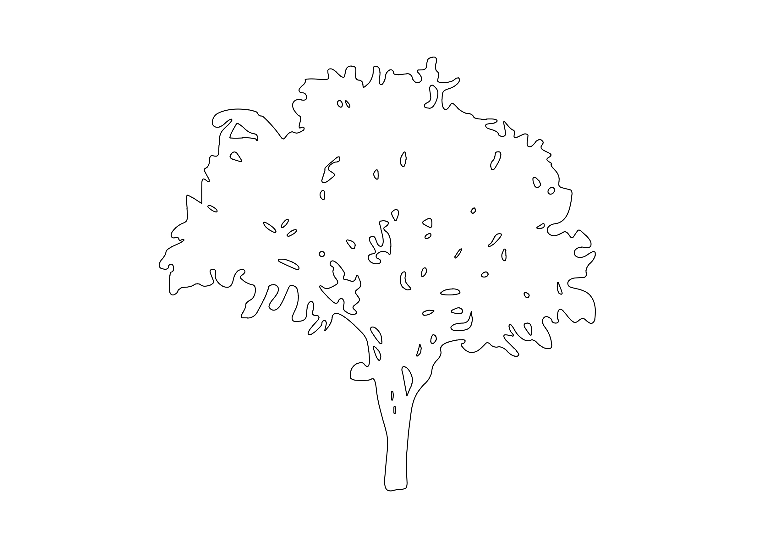 Free Tree Elevation CAD Block – DWG, DXF, PDF Format