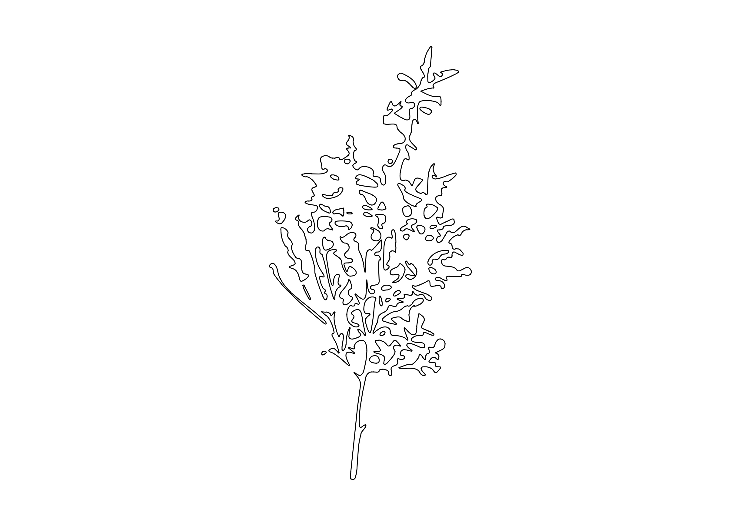 Free Tree Elevation CAD Block – DWG, DXF, PDF Format