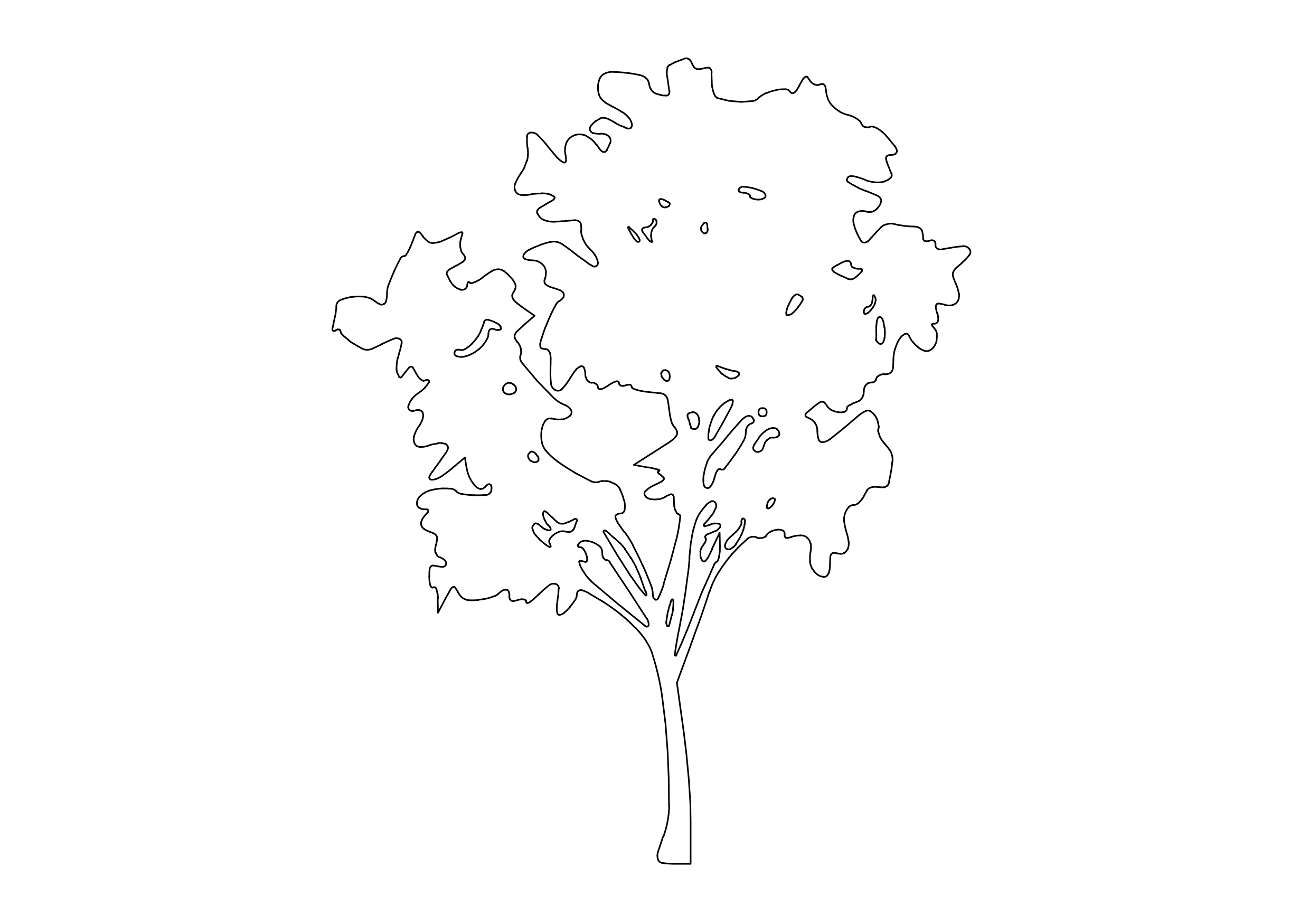 Free Tree Elevation CAD Block – DWG, DXF, PDF Format