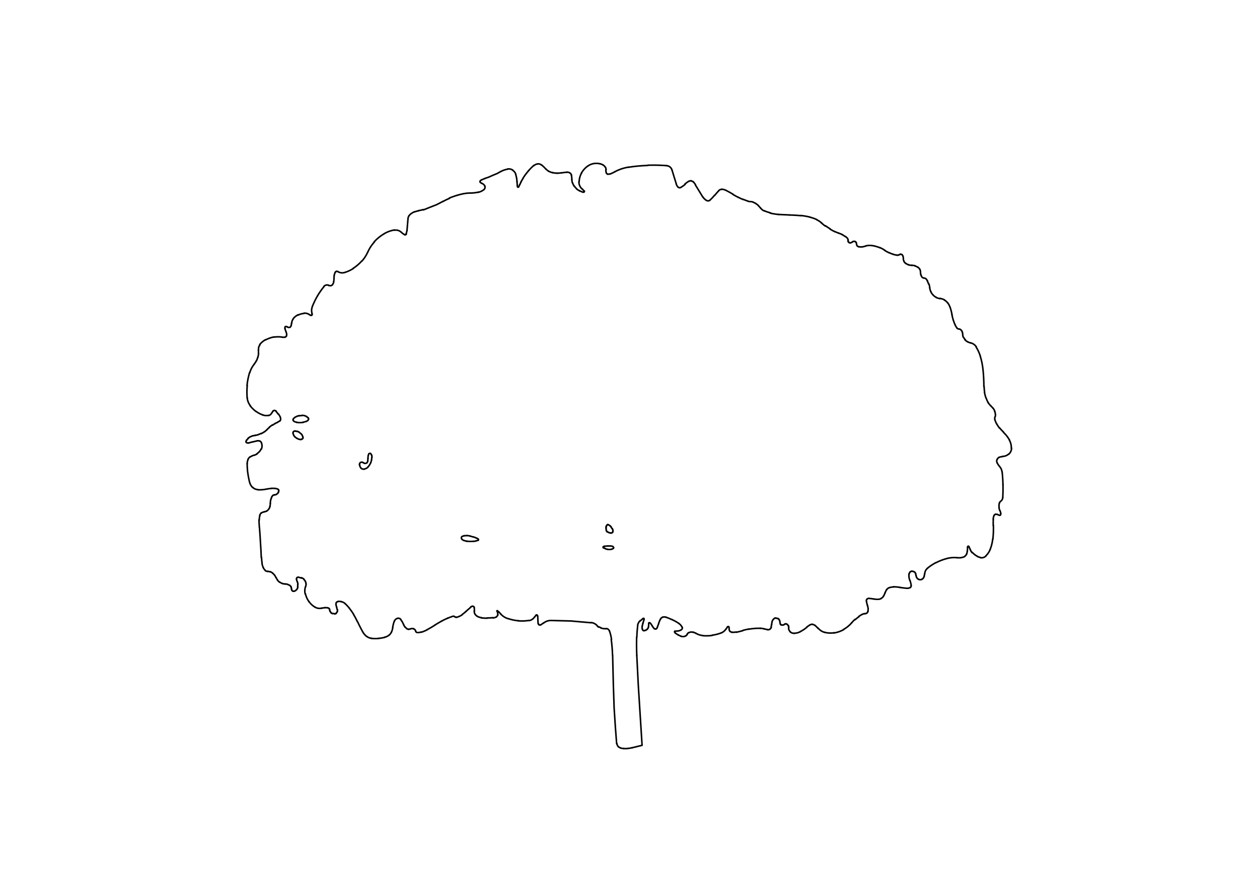Free Tree Elevation CAD Block – DWG, DXF, PDF Format