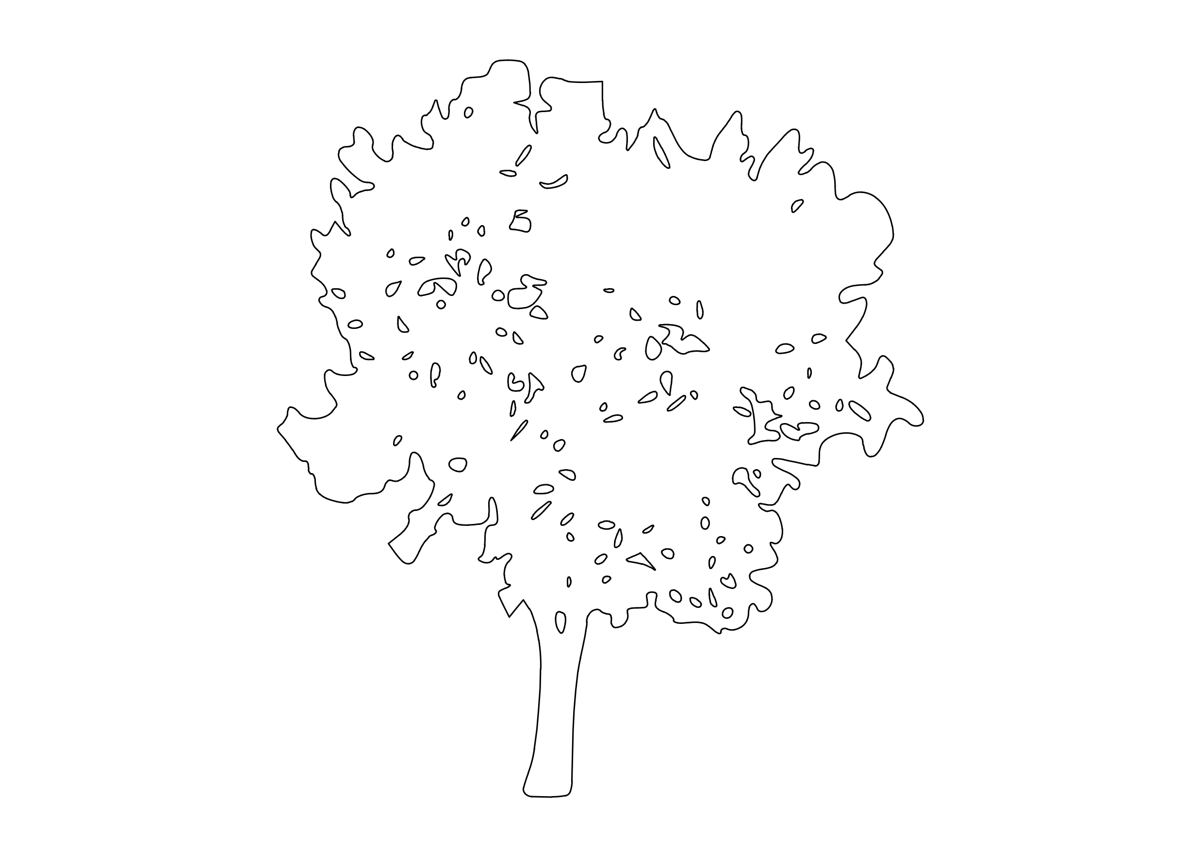 Free Tree Elevation CAD Block – DWG, DXF, PDF Format