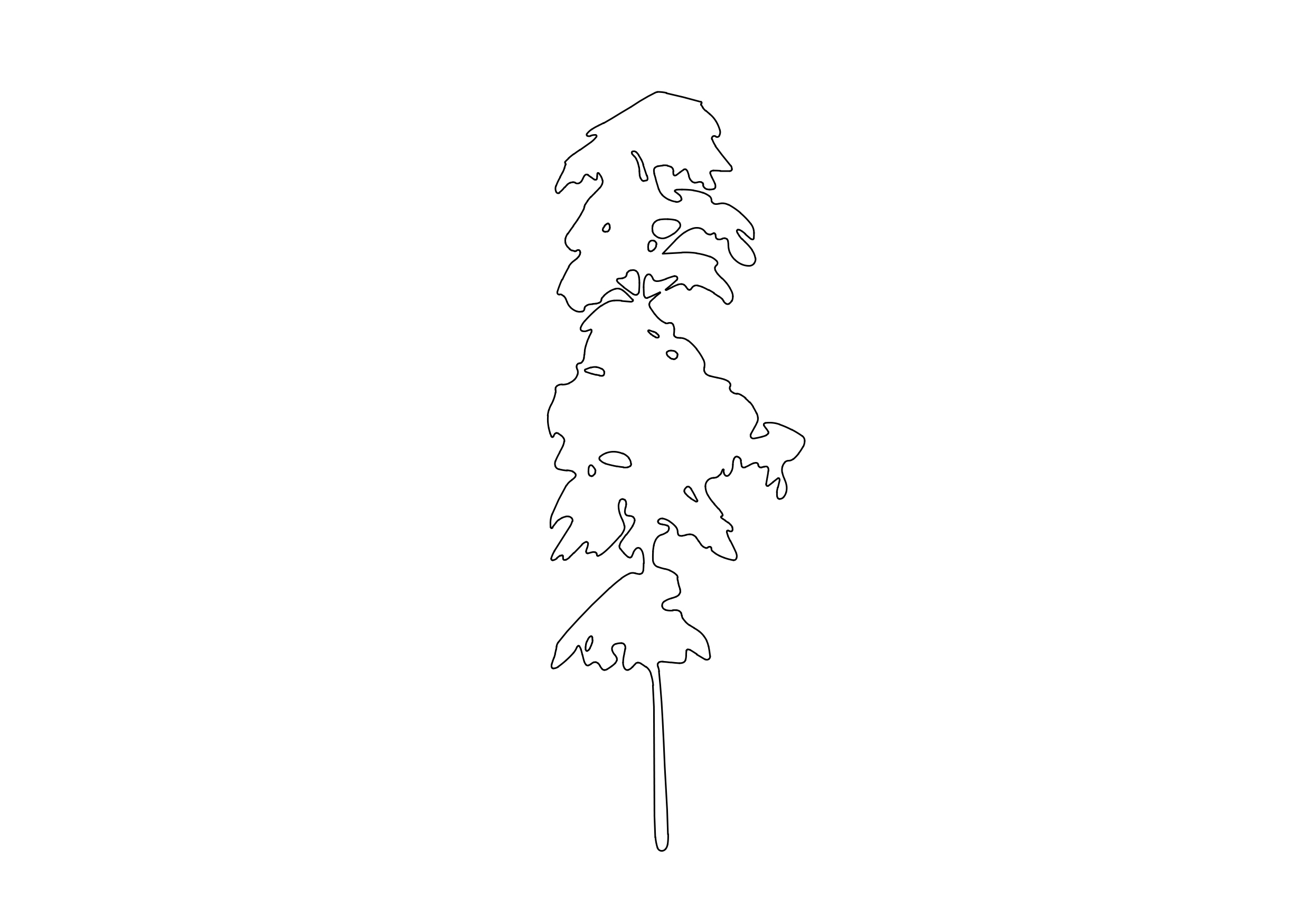 Free Tree Elevation CAD Block – DWG, DXF, PDF Format