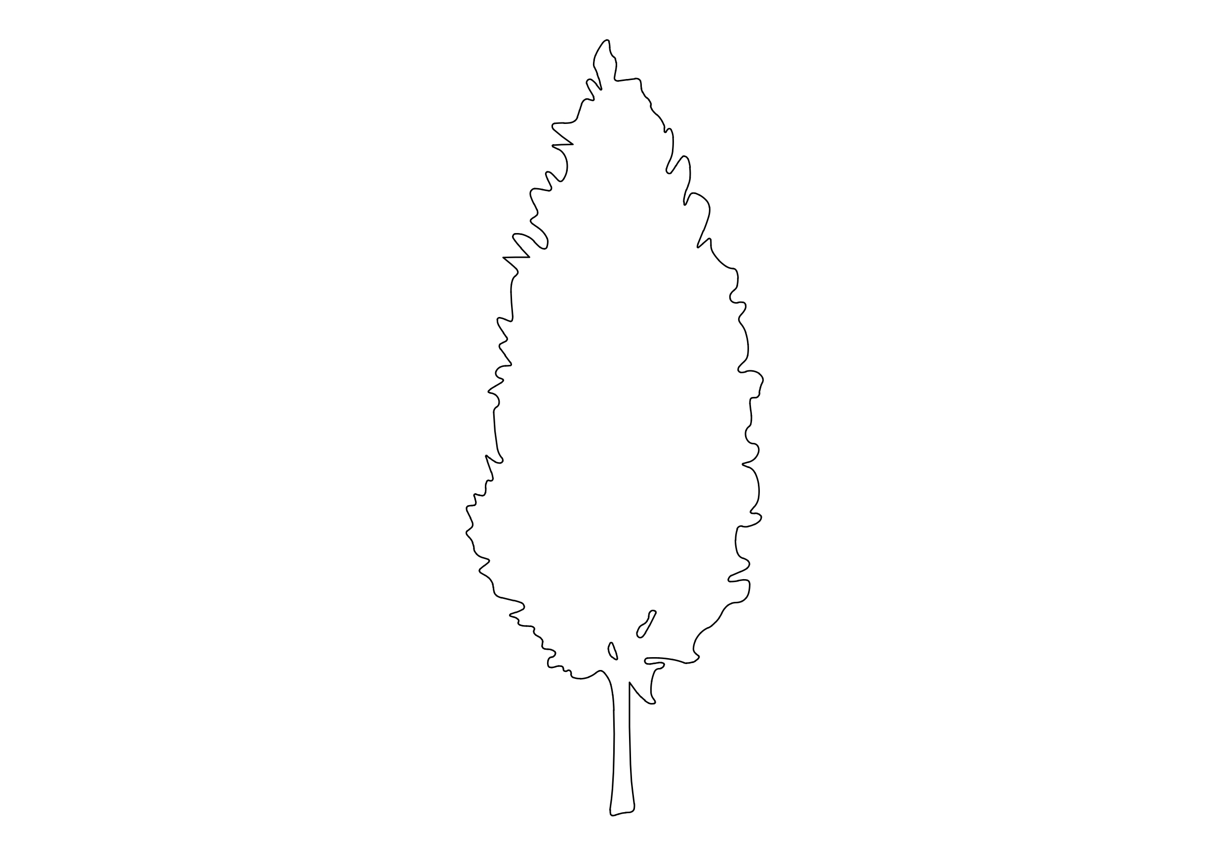 Free Tree Elevation CAD Block – DWG, DXF, PDF Format