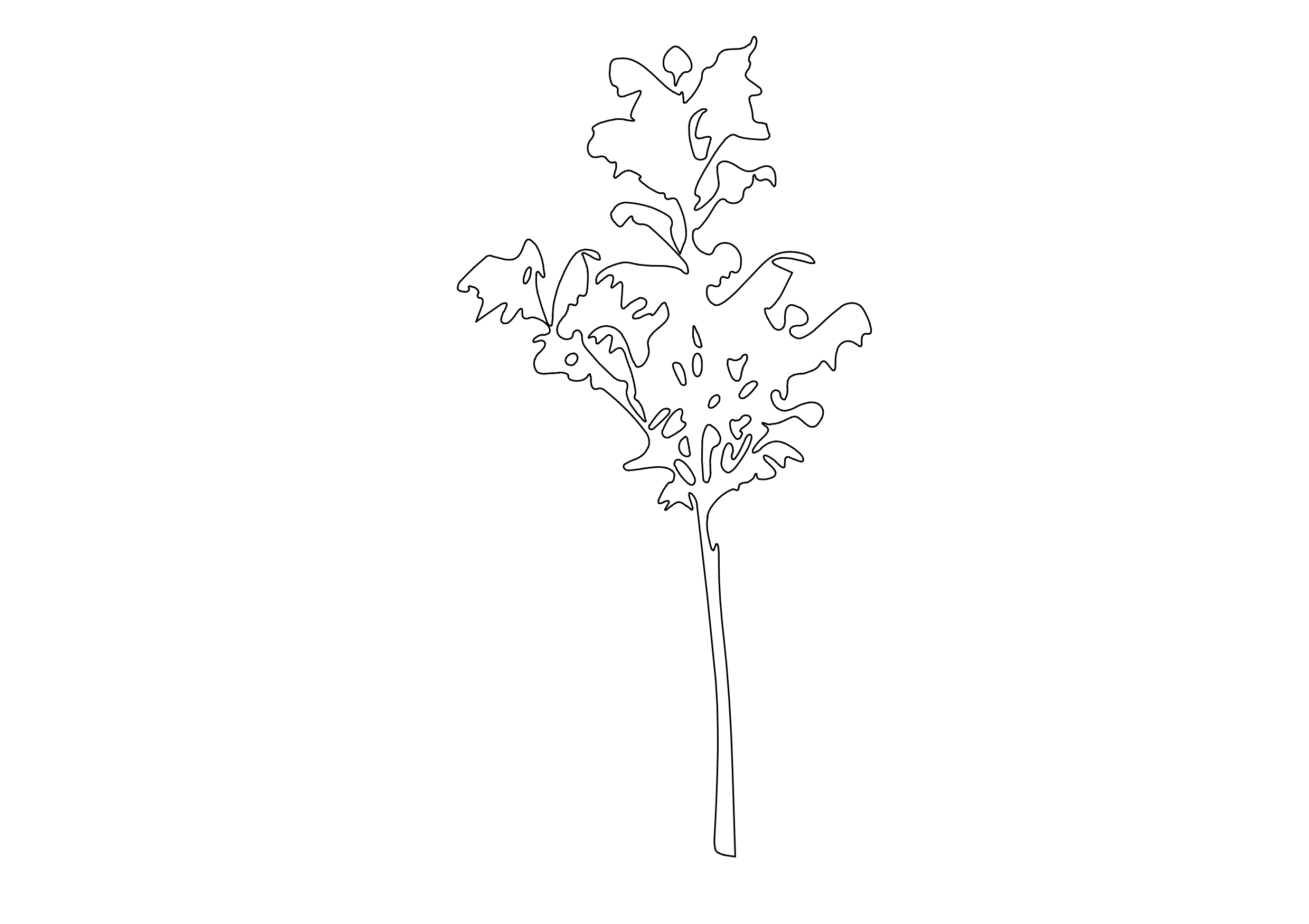 Free Tree Elevation CAD Block – DWG, DXF, PDF Format