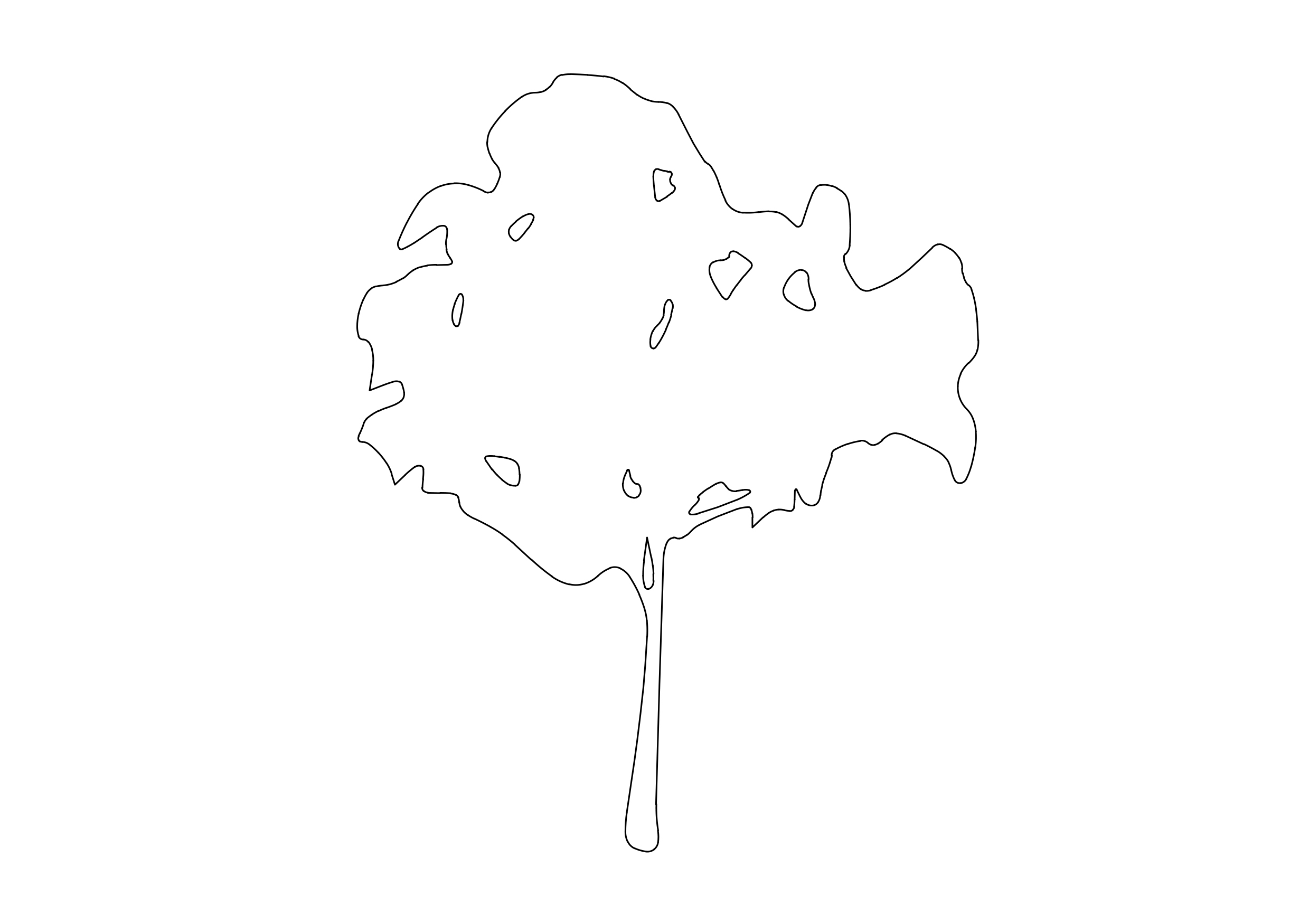 Free Tree Elevation CAD Block – DWG, DXF, PDF Format