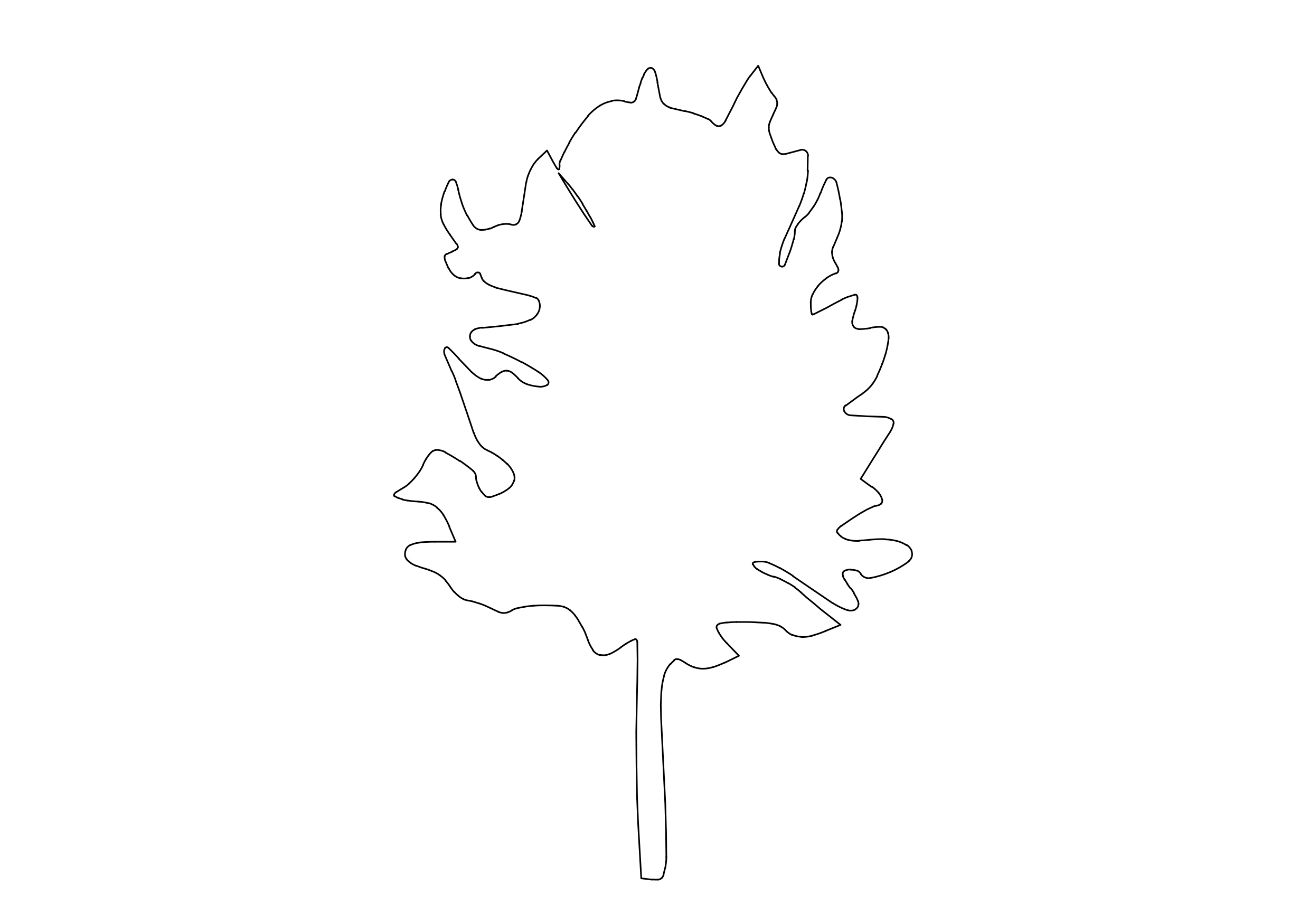 Free Tree Elevation CAD Block – DWG, DXF, PDF Format