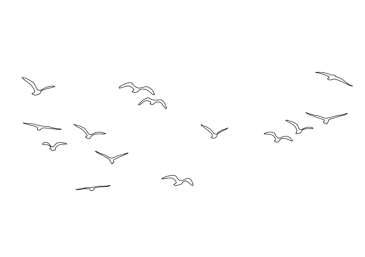 Free Birds CAD Block – DWG, DXF, PDF Format